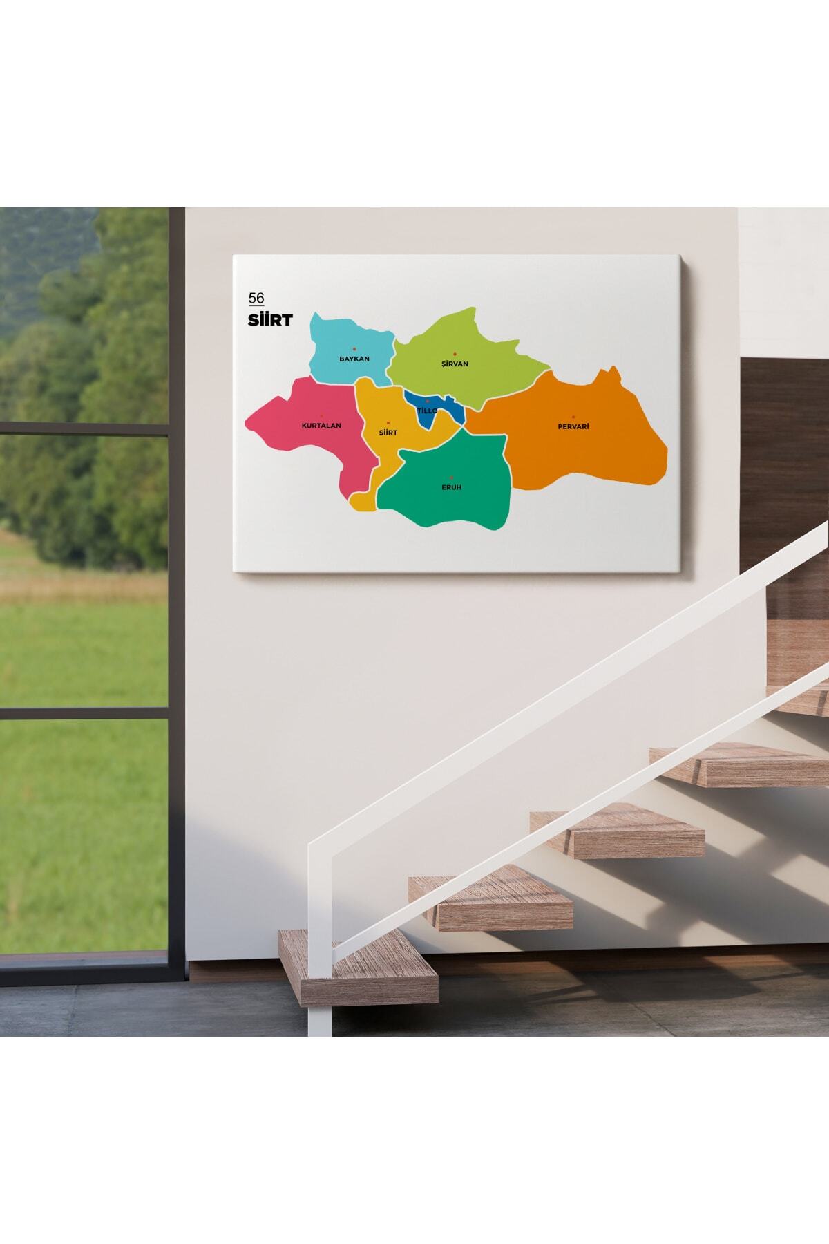 Siirt Ili Ve Ilçeler Haritası Dekoratif Kanvas Tablo görsel 4