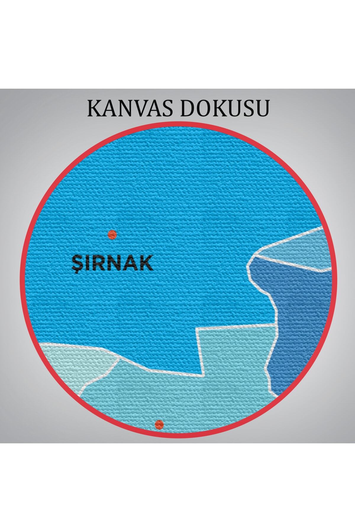 Şırnak Ili Ve Ilçeler Haritası Dekoratif Kanvas Tablo görsel 6