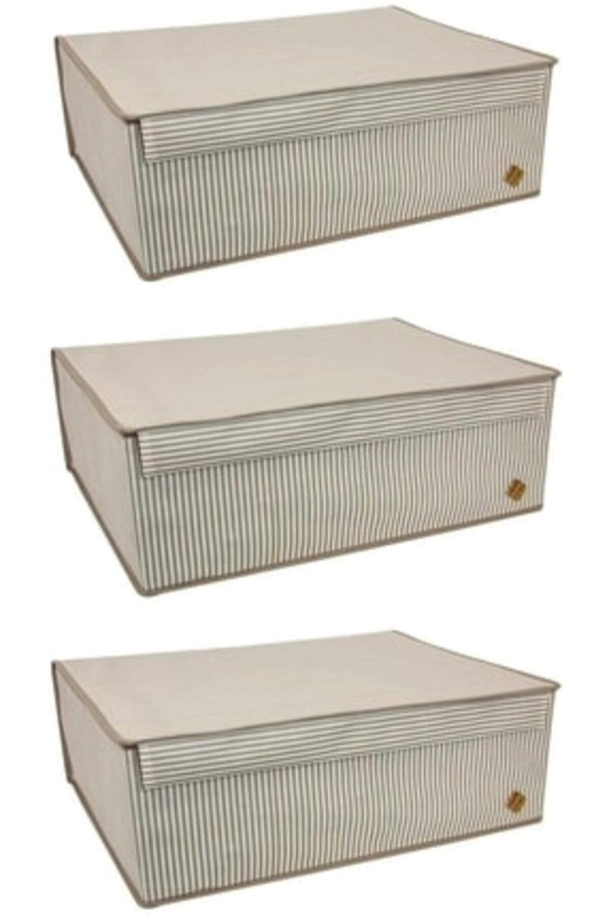 teknotrust 3'lü Baza İçi Düzenleyici Kapaklı Organizer Kutu 50x40x19 Cm Karışık