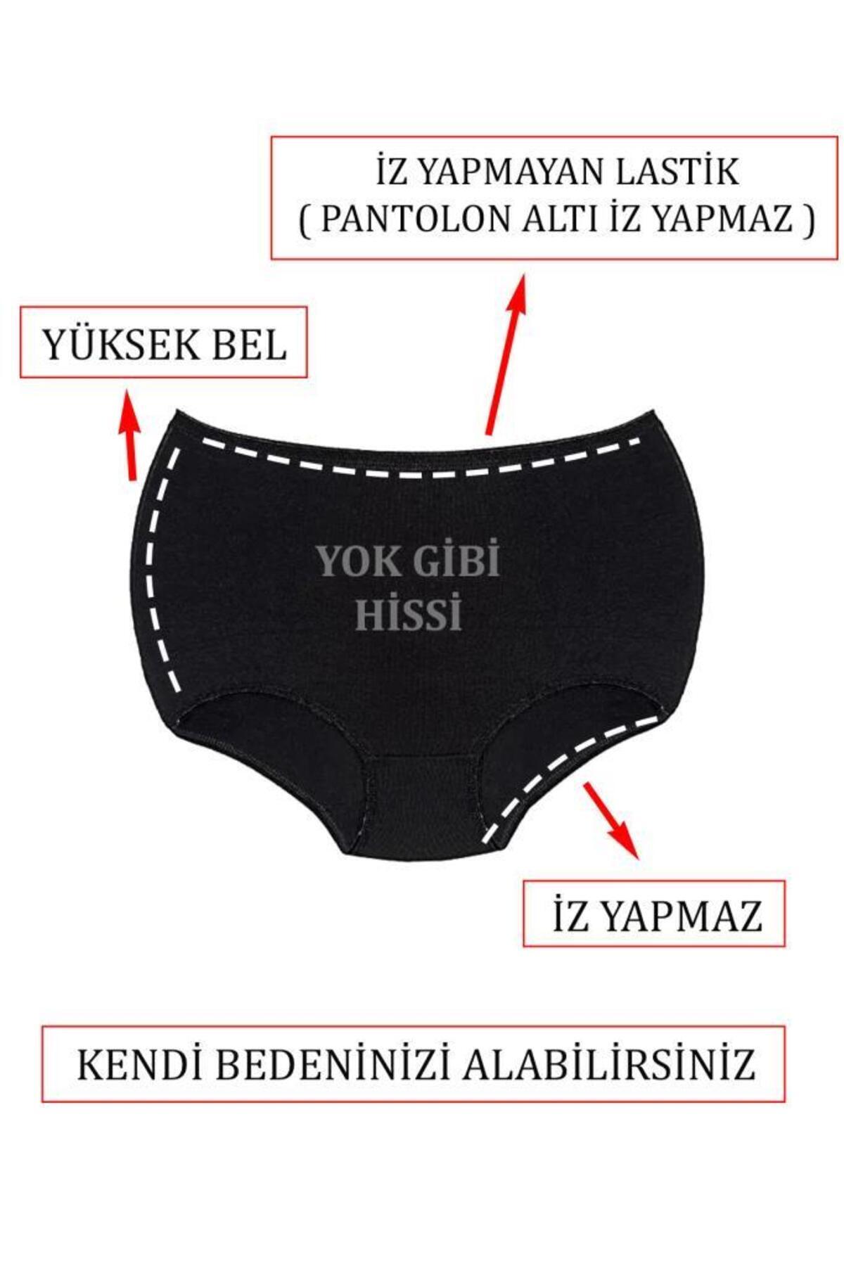 Almila-Set of 5 High Waist Cotton Women's Boxer Briefs 2058 - Slip Look Boxer 6