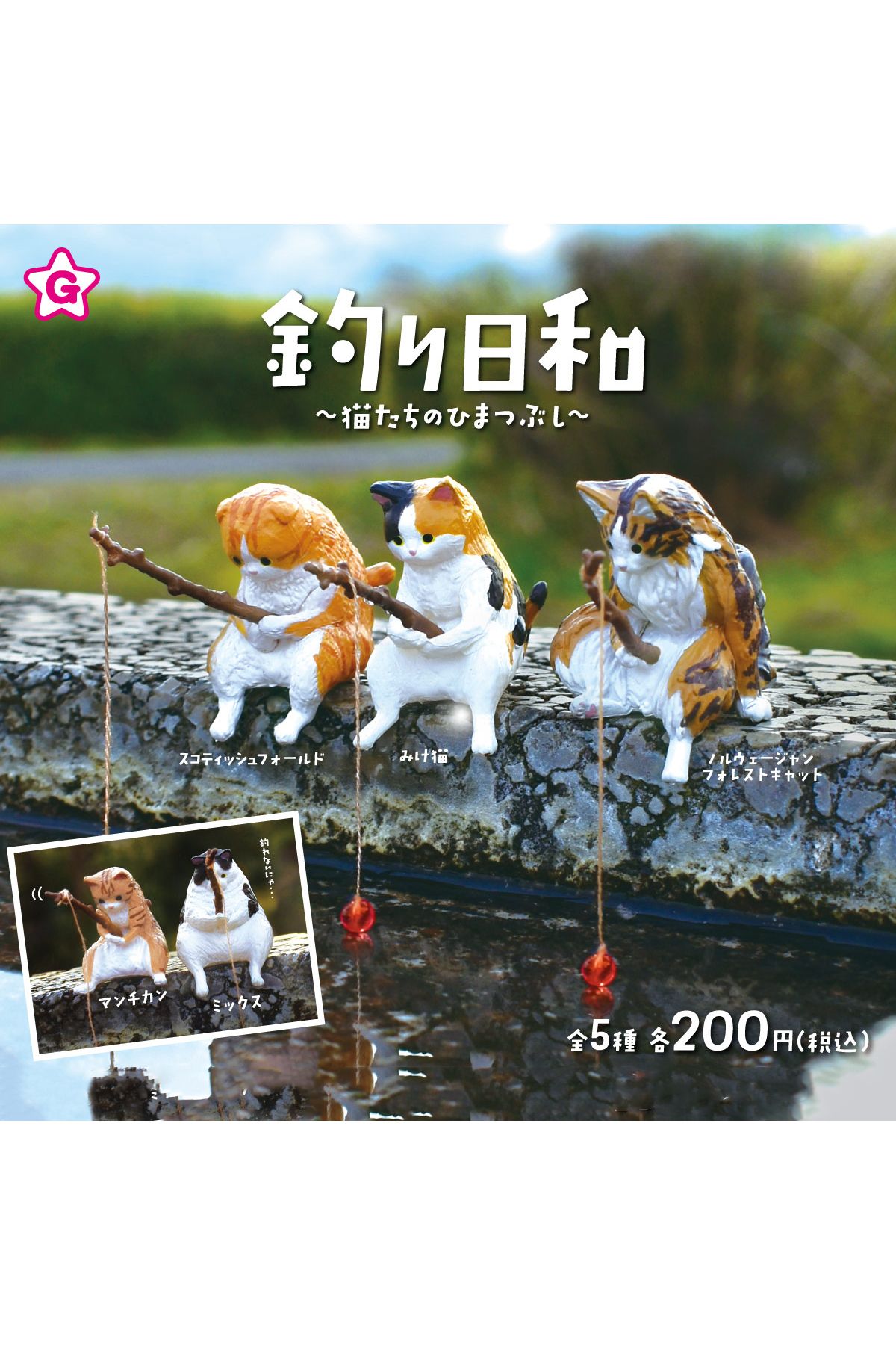 Choice-Yell world capsule toys cute Ragdoll Exotic shorthair calico Scottish Fold Bobtail Korat orange c... 3