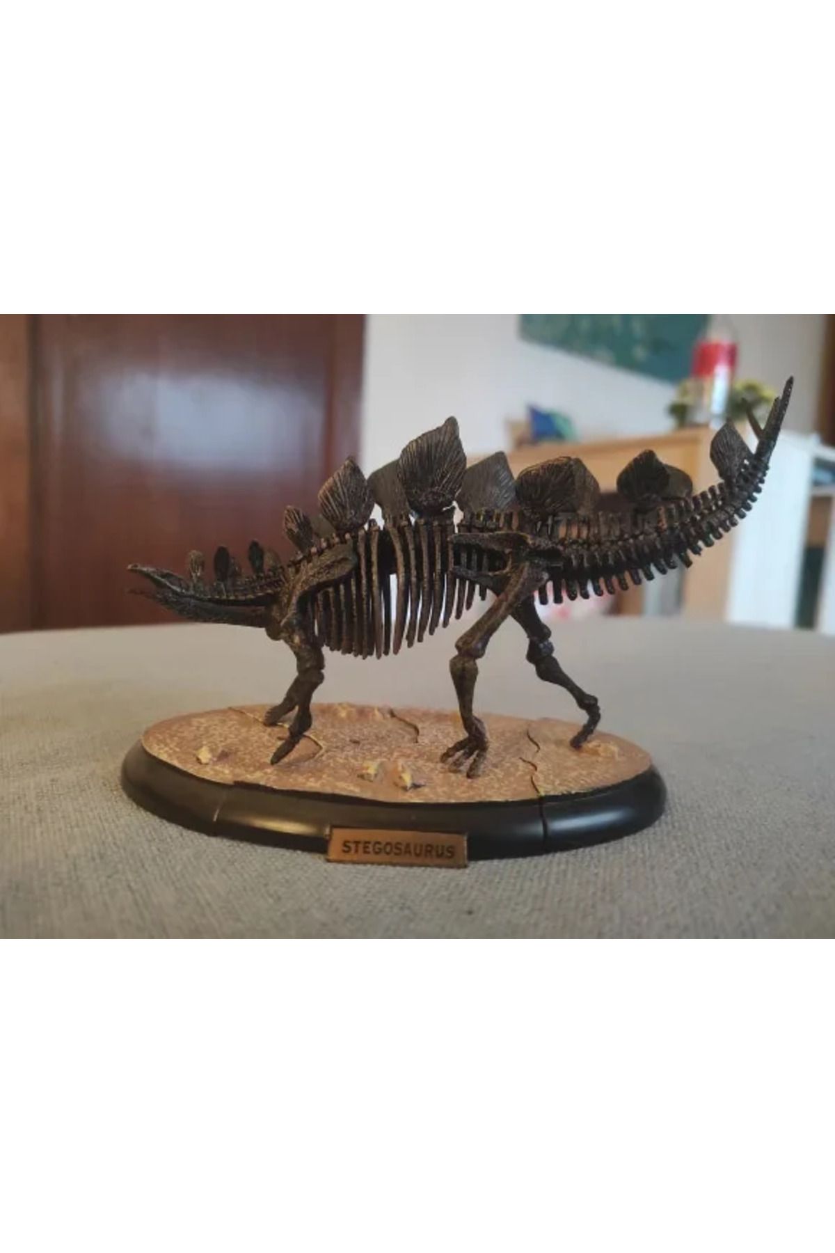 Choice-Assemble Dinosaur Bones Triceratops Skeleton Fossil Mammoth Mammuthus Assembled  Tyrannosaurus Re... 7