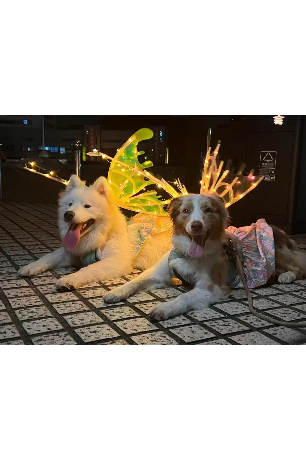 Choice-Dog Butterfly Wings Pet Glowing Wings Puppy Summer Clothes Decorative Samoyed Husky Medium Dogs 1