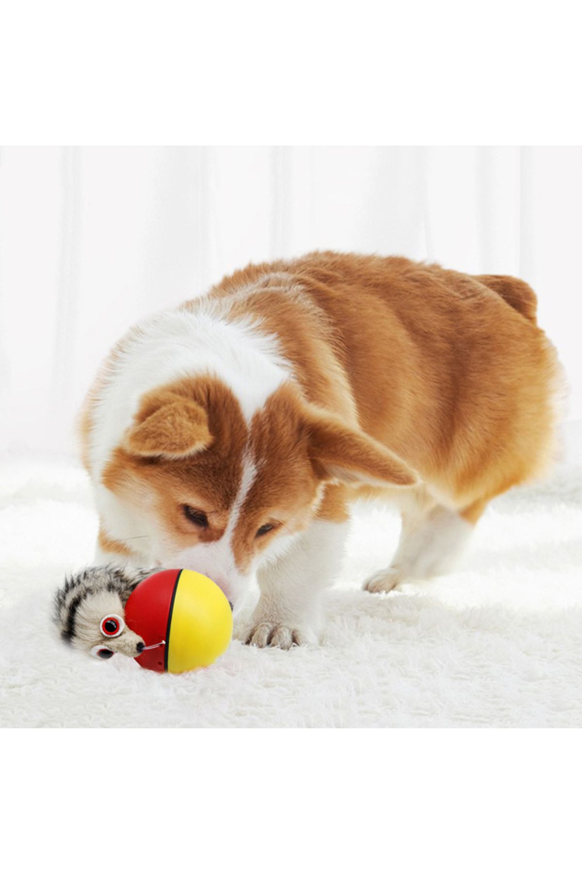 Choice-Beaver Mouse Electric Ball Toy Rolling Ball Jump Toys Moving In The Water Toys Pet Supplies 4