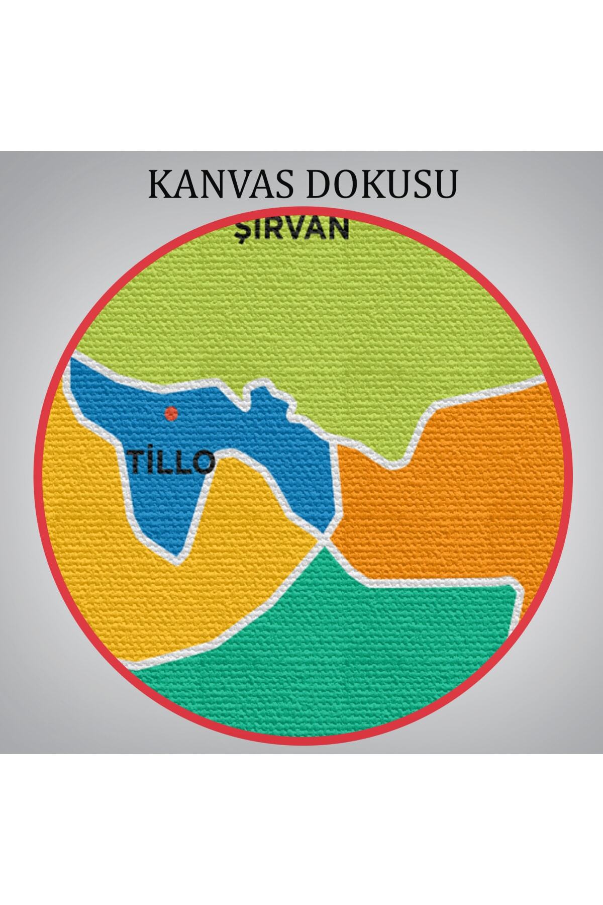 Siirt Ili Ve Ilçeler Haritası Dekoratif Kanvas Tablo görsel 6