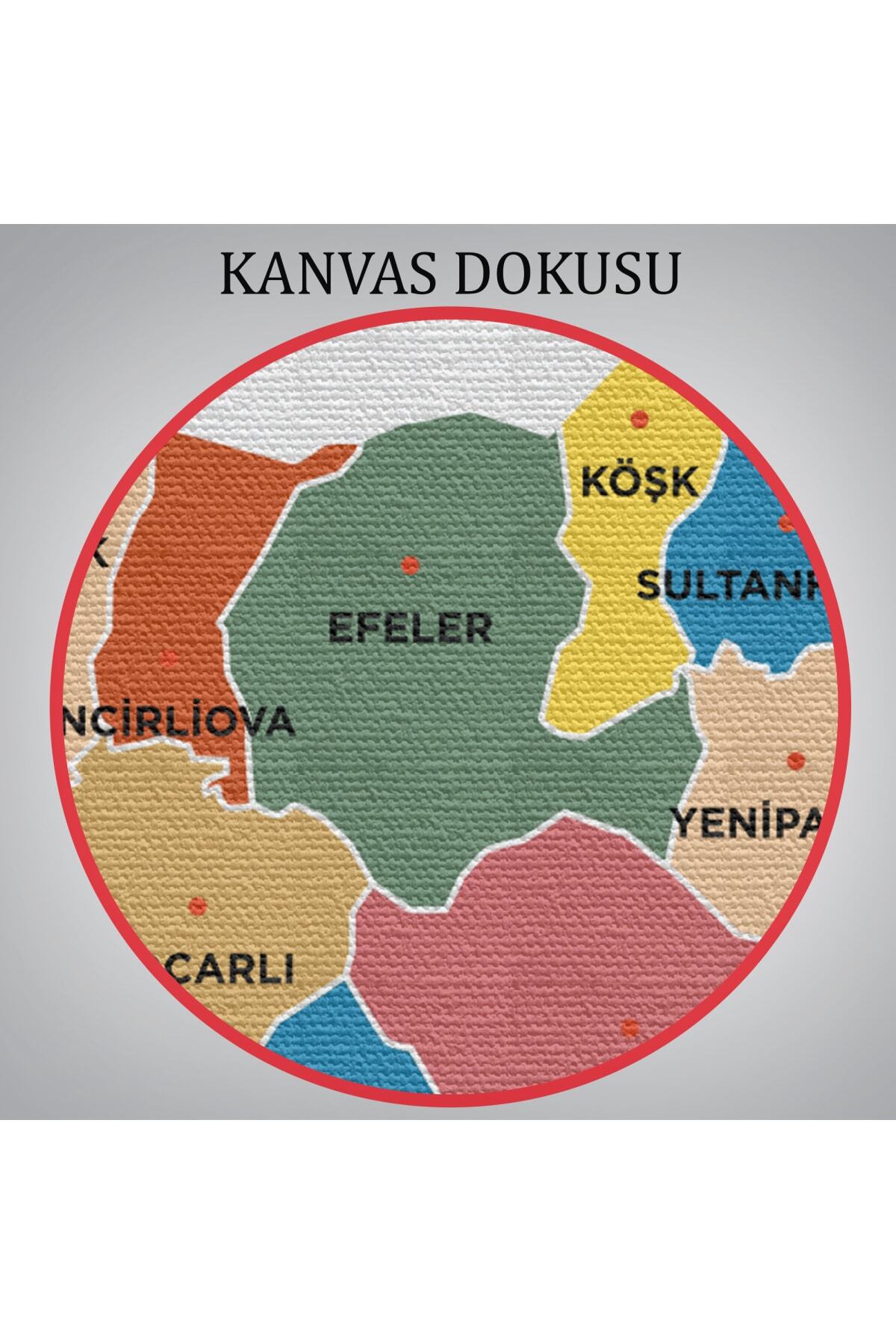 Aydın Ili Ve Ilçeler Haritası Dekoratif Kanvas Tablo görsel 6