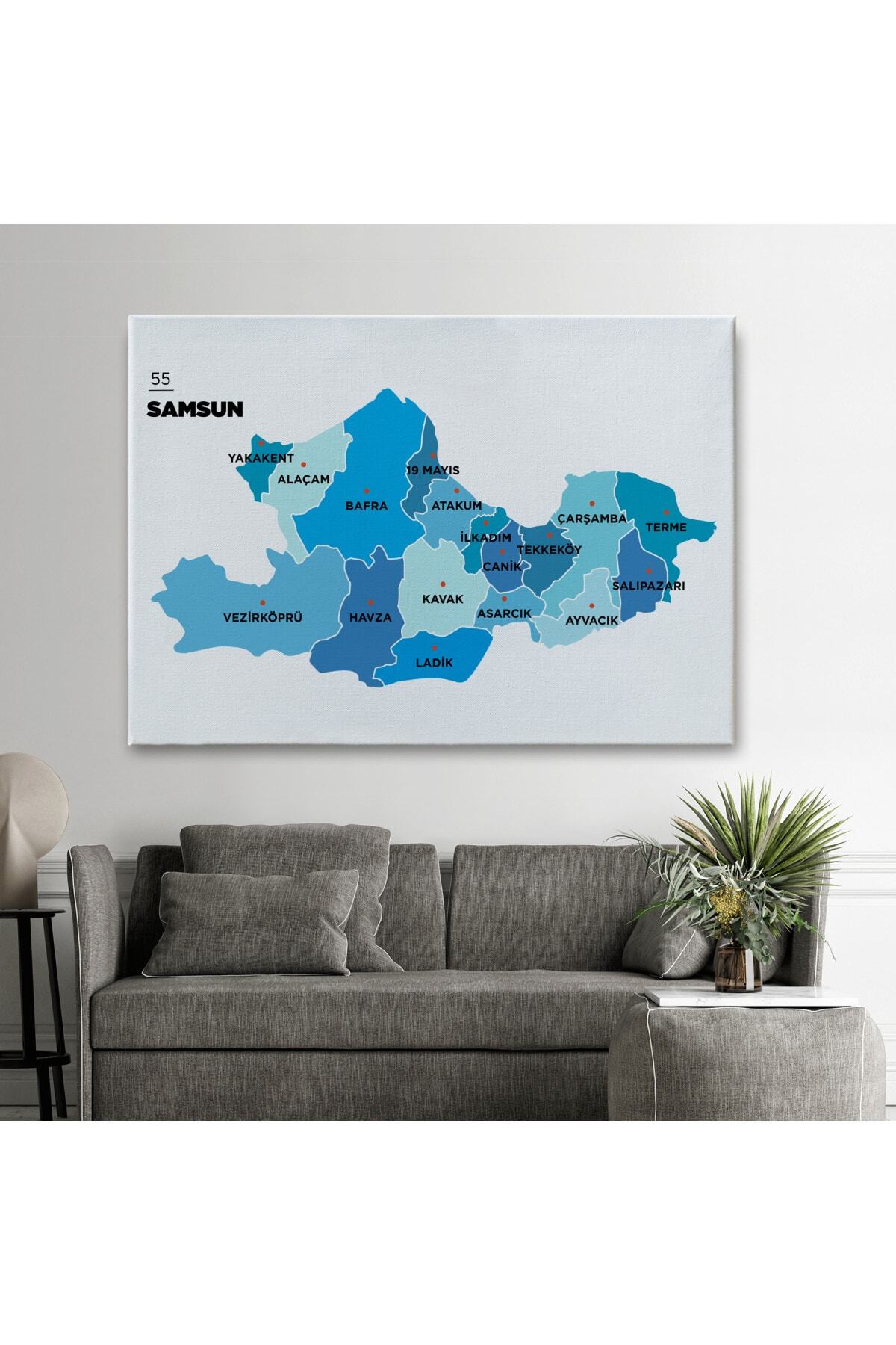 Samsun Ili Ve Ilçeler Haritası Dekoratif Kanvas Tablo görsel 2
