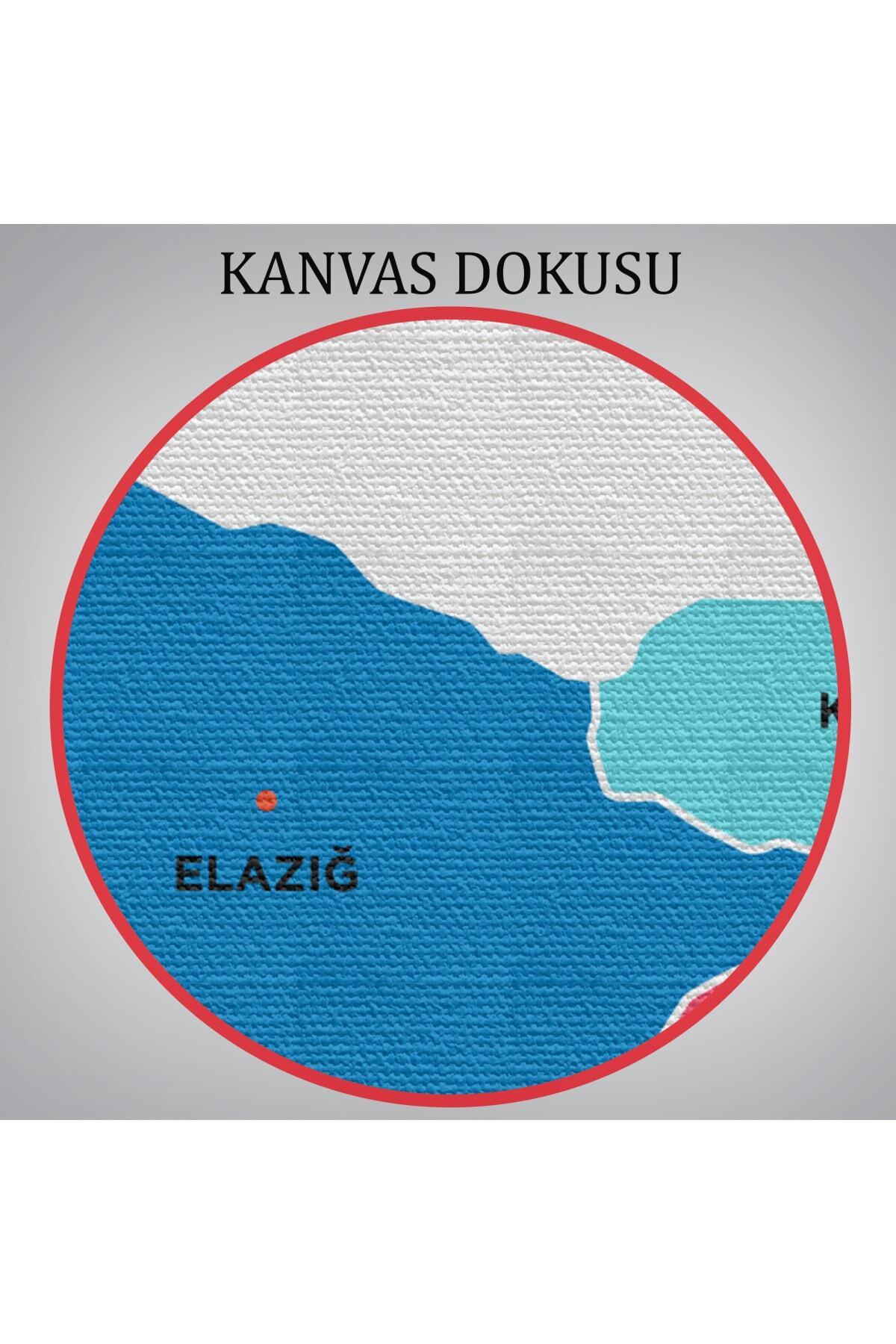 Elazığ Ili Ve Ilçeler Haritası Dekoratif Kanvas Tablo görsel 6