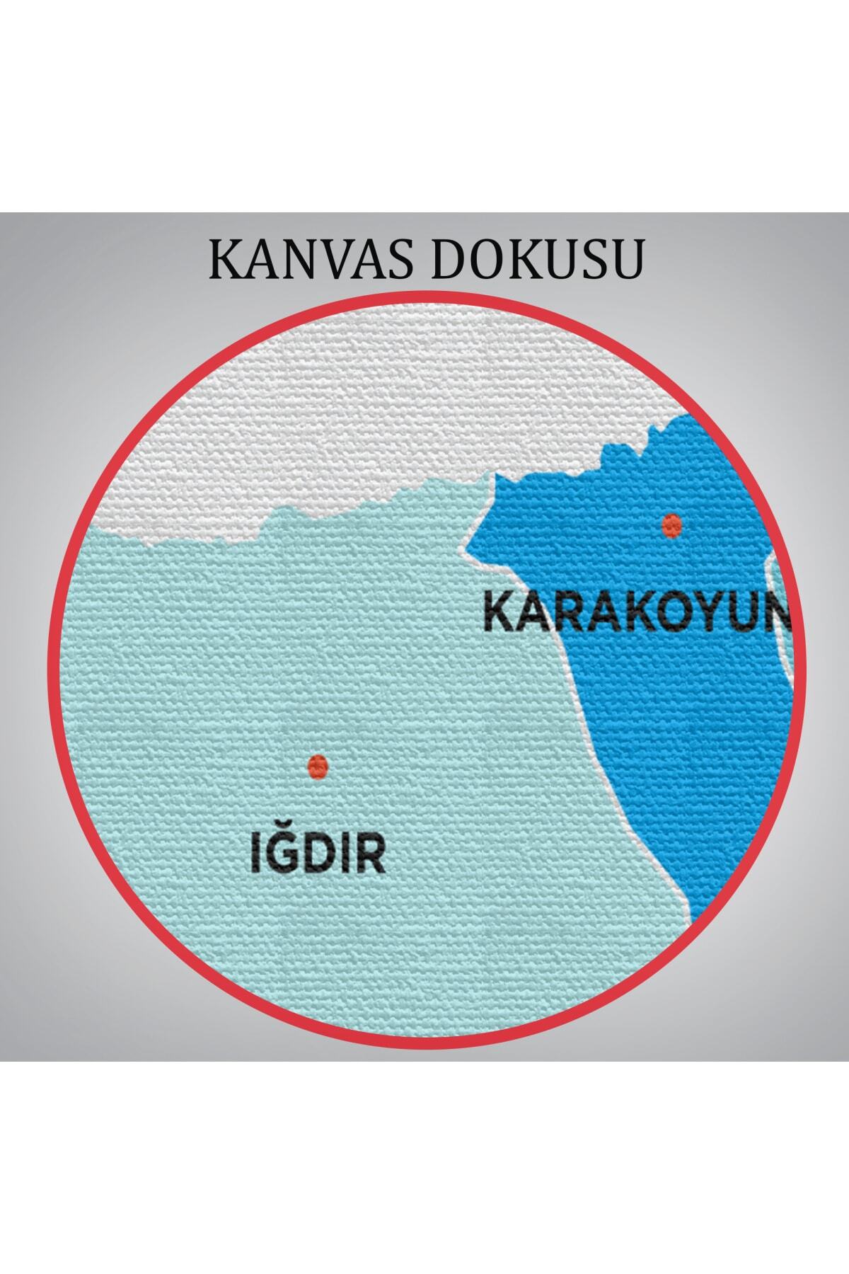 Iğdır Ili Ve Ilçeler Haritası Dekoratif Kanvas Tablo-1 görsel 6