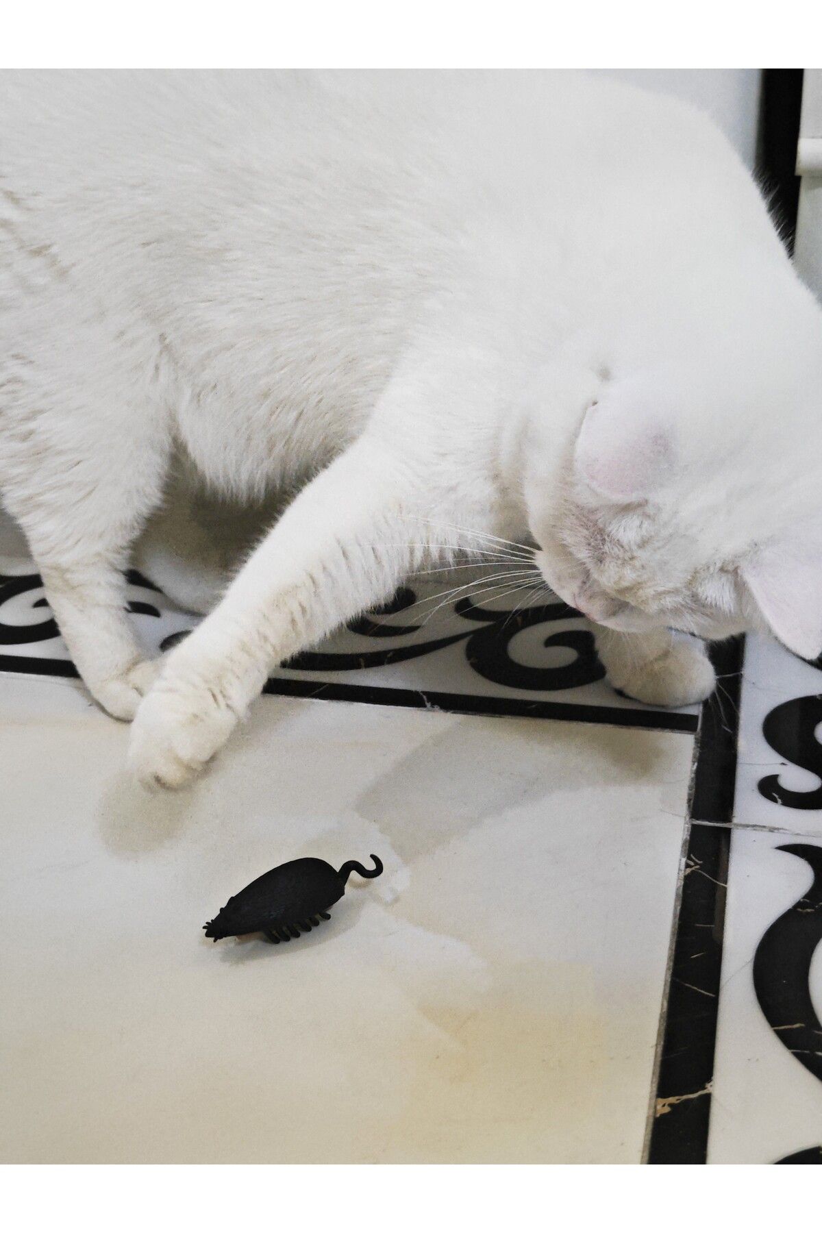 Choice-Funny Electric Bugs Catnip Toy Automatic Tunnel Mini Robot Bug Vibration Insect Toys For Cats Bat... 8