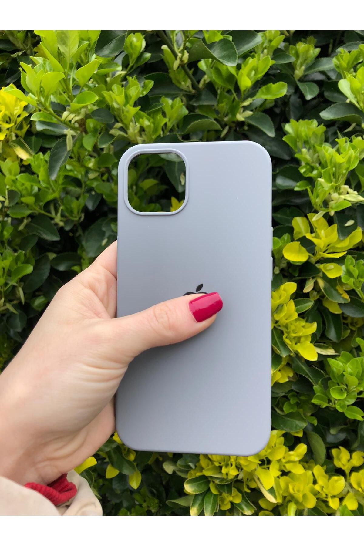 iphone 13 et 14 lansman en harmonie ichi cadife silicon gris clair