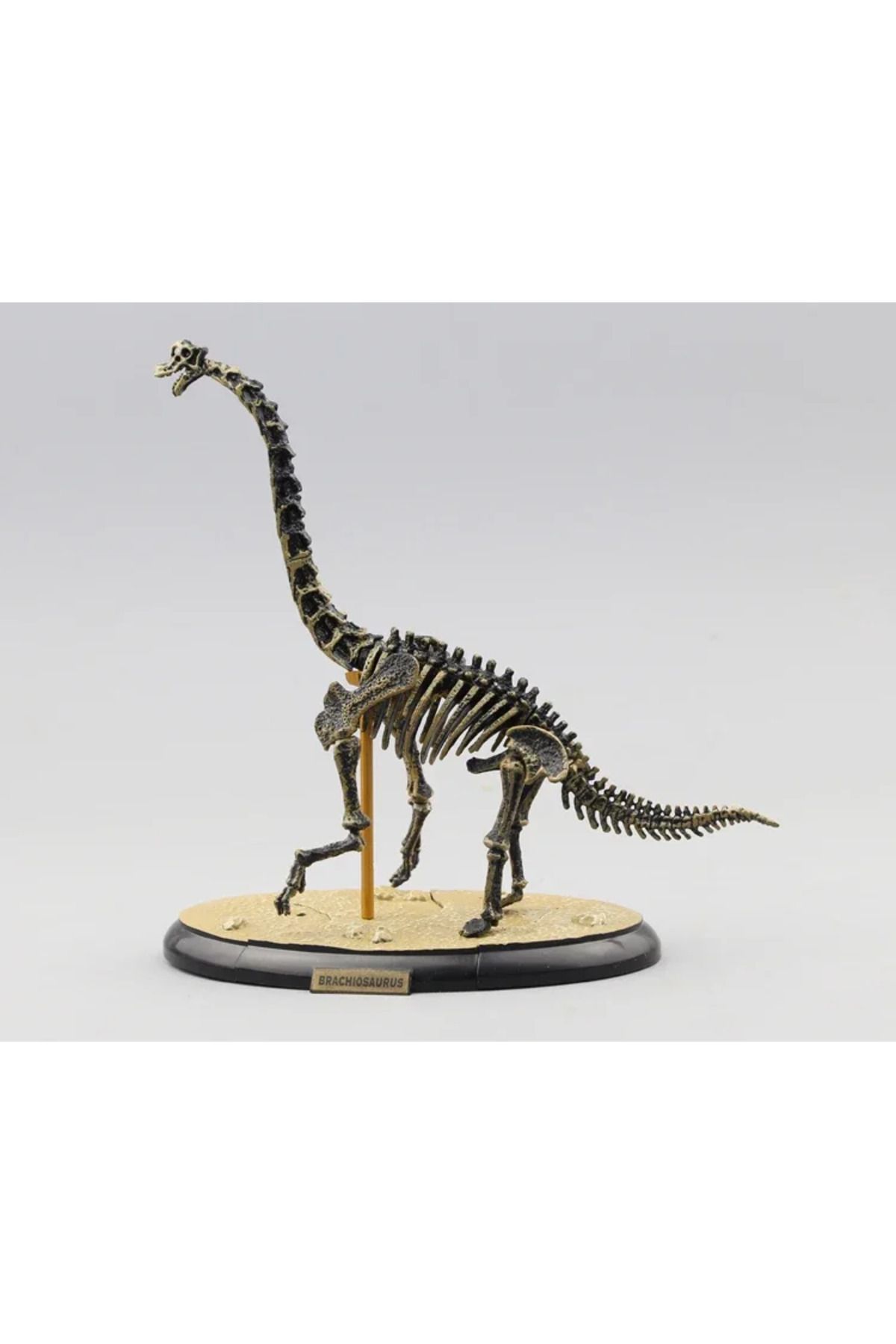 Choice-Assemble Dinosaur Bones Triceratops Skeleton Fossil Mammoth Mammuthus Assembled  Tyrannosaurus Re... 4