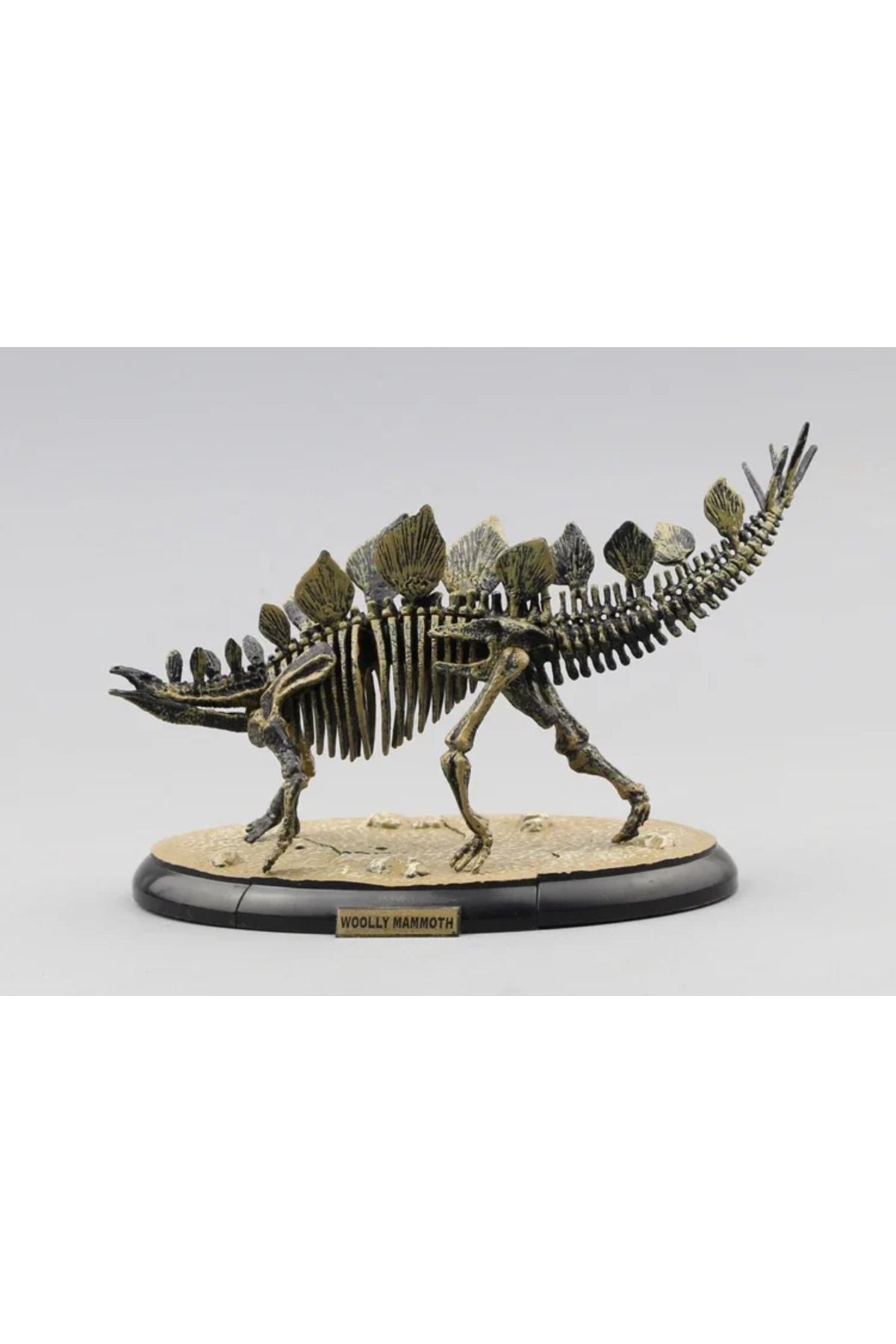 Choice-Assemble Dinosaur Bones Triceratops Skeleton Fossil Mammoth Mammuthus Assembled  Tyrannosaurus Re... 5