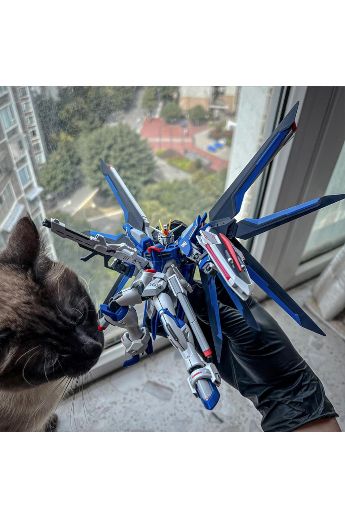 Choice-XFS HG 1/144 Rising Freedom Equipped With Citroen Face Mask Theater Version Jimsbada Assemble The... 3