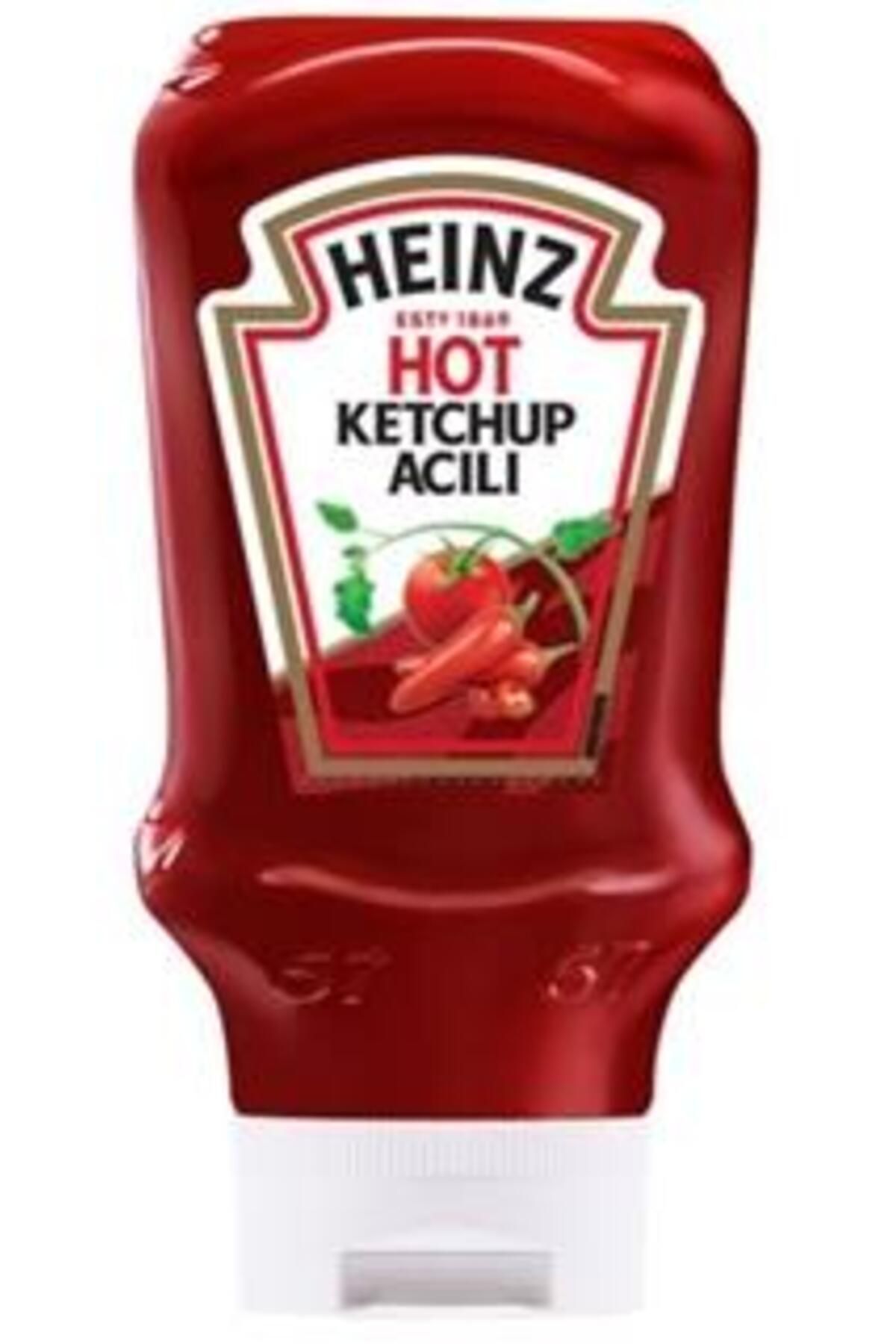 Heinz Heınz Ketçap Ekstra Acı 460 Gr. (6'lı)