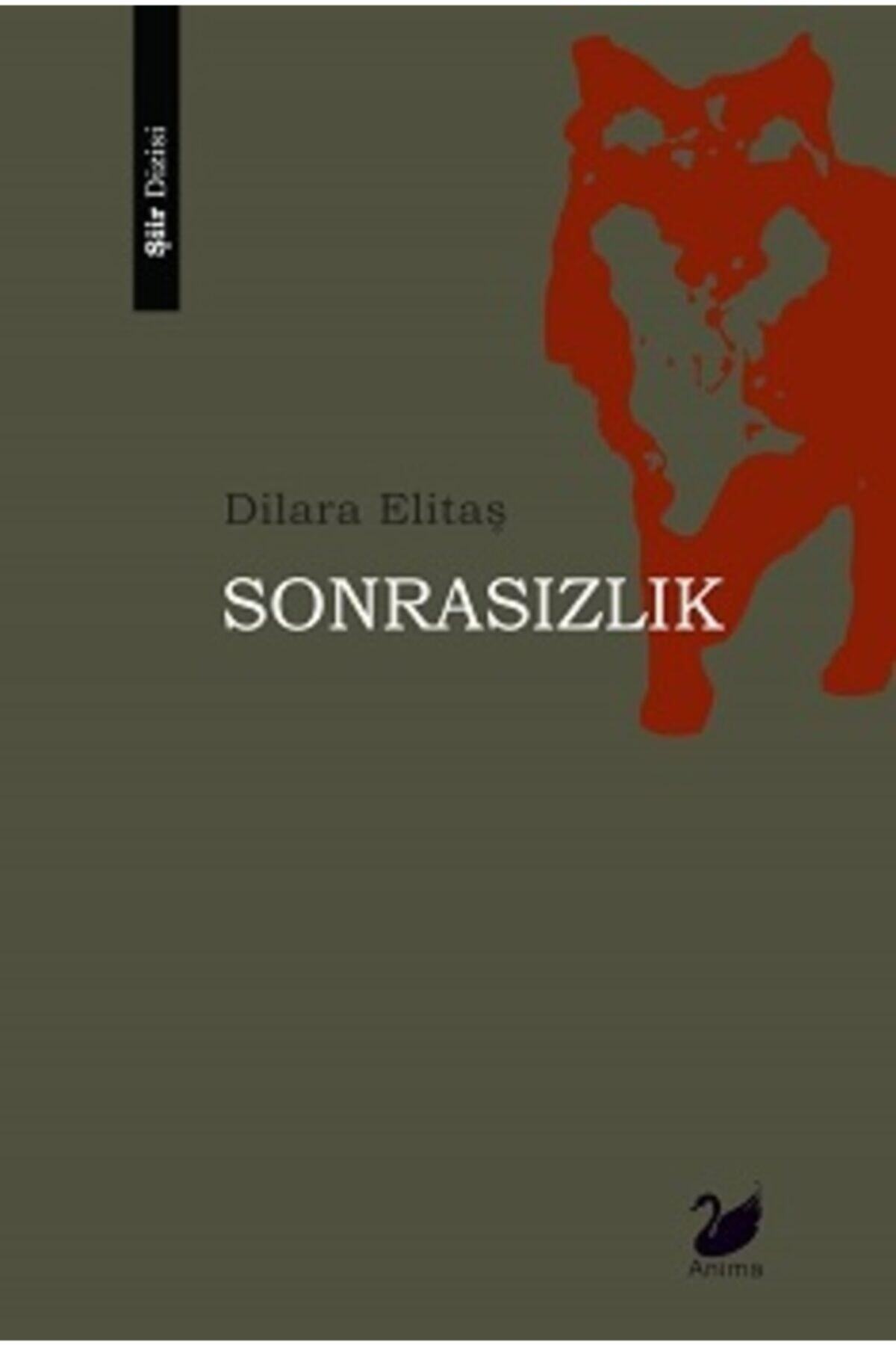 Sonrasızlık