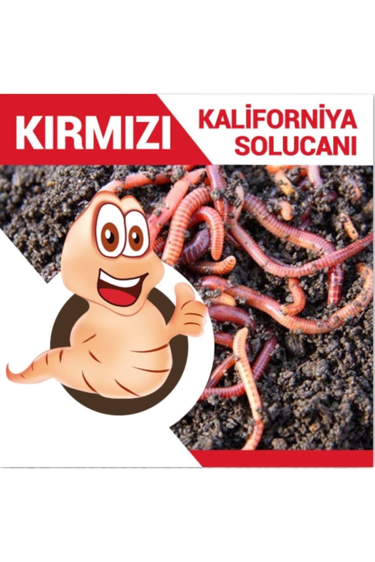 250 Gr Gül Sarmaşık Difenbahya Menekşe Için Kök Güçlendirici içeren kompozit gübre