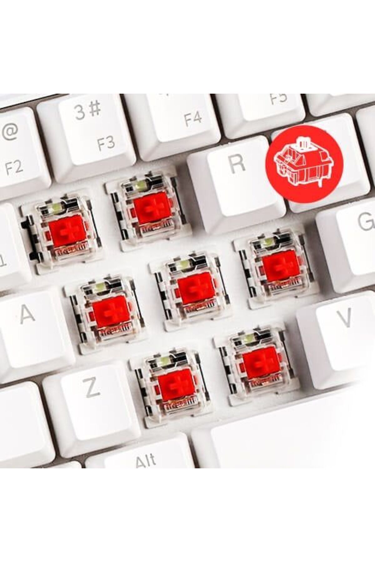 ROYAL KLUDGE-Rk61 Tri-Mode Rgb 61 Keys Hot Swappable White Mechanical Keyboard - Blue Switch 5