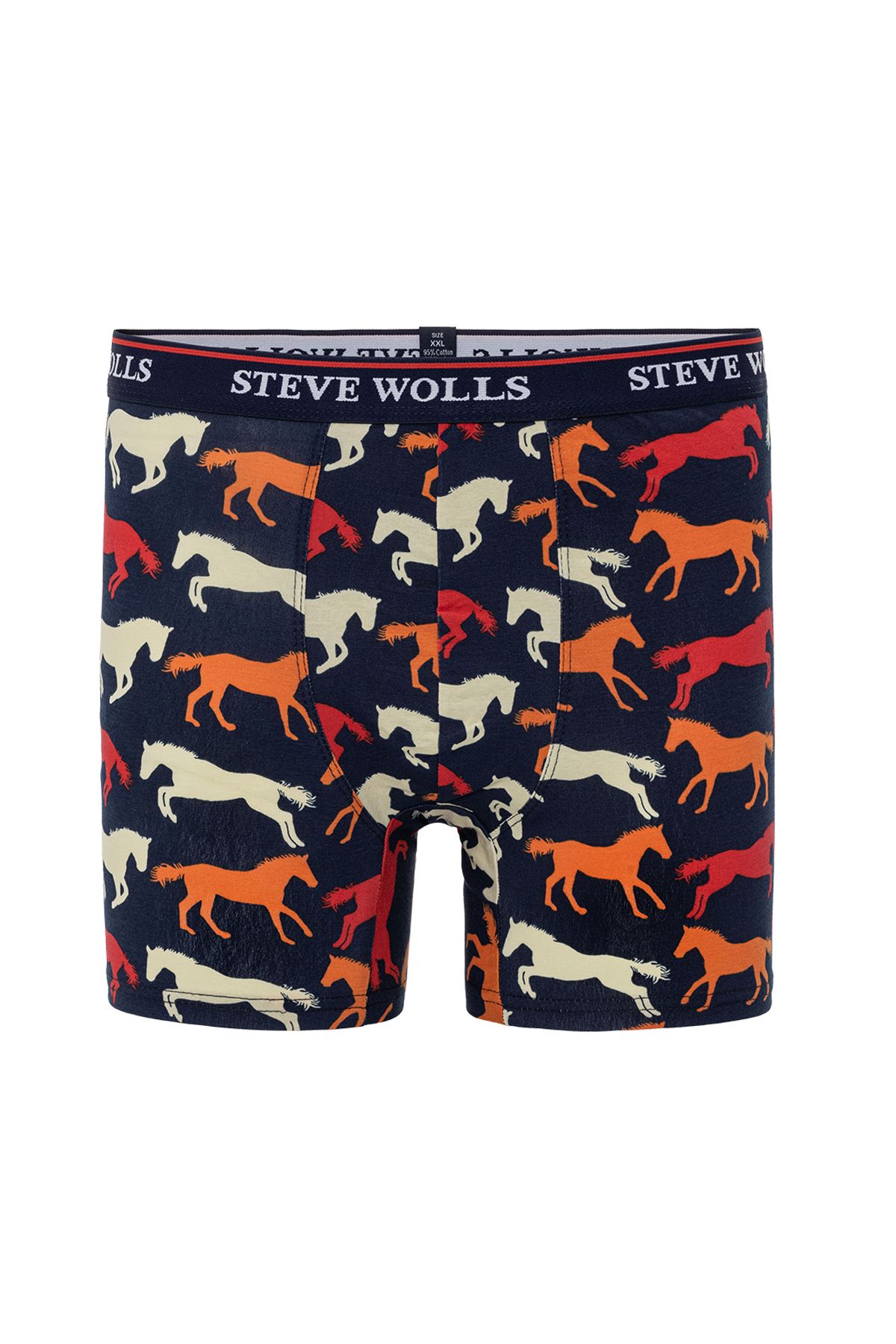 Steve Wolls-Men's Mixed Patterned 5-Piece Boxers - 23310 4