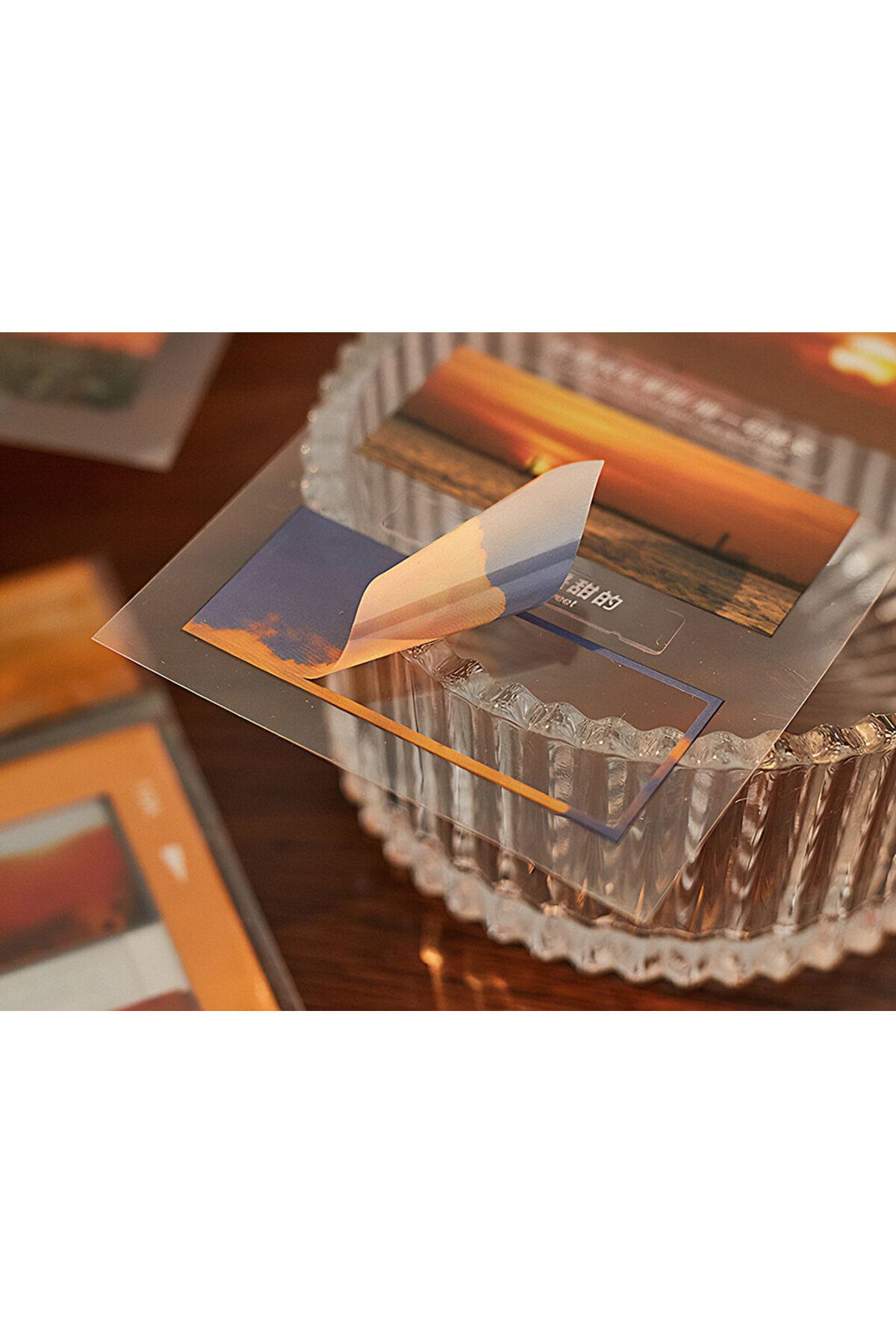 GUGUK-Island Themed 5 Different Designs Pet Index • Index Sticker • Post-It • Sticky Note (Ggk-Mi107) 3