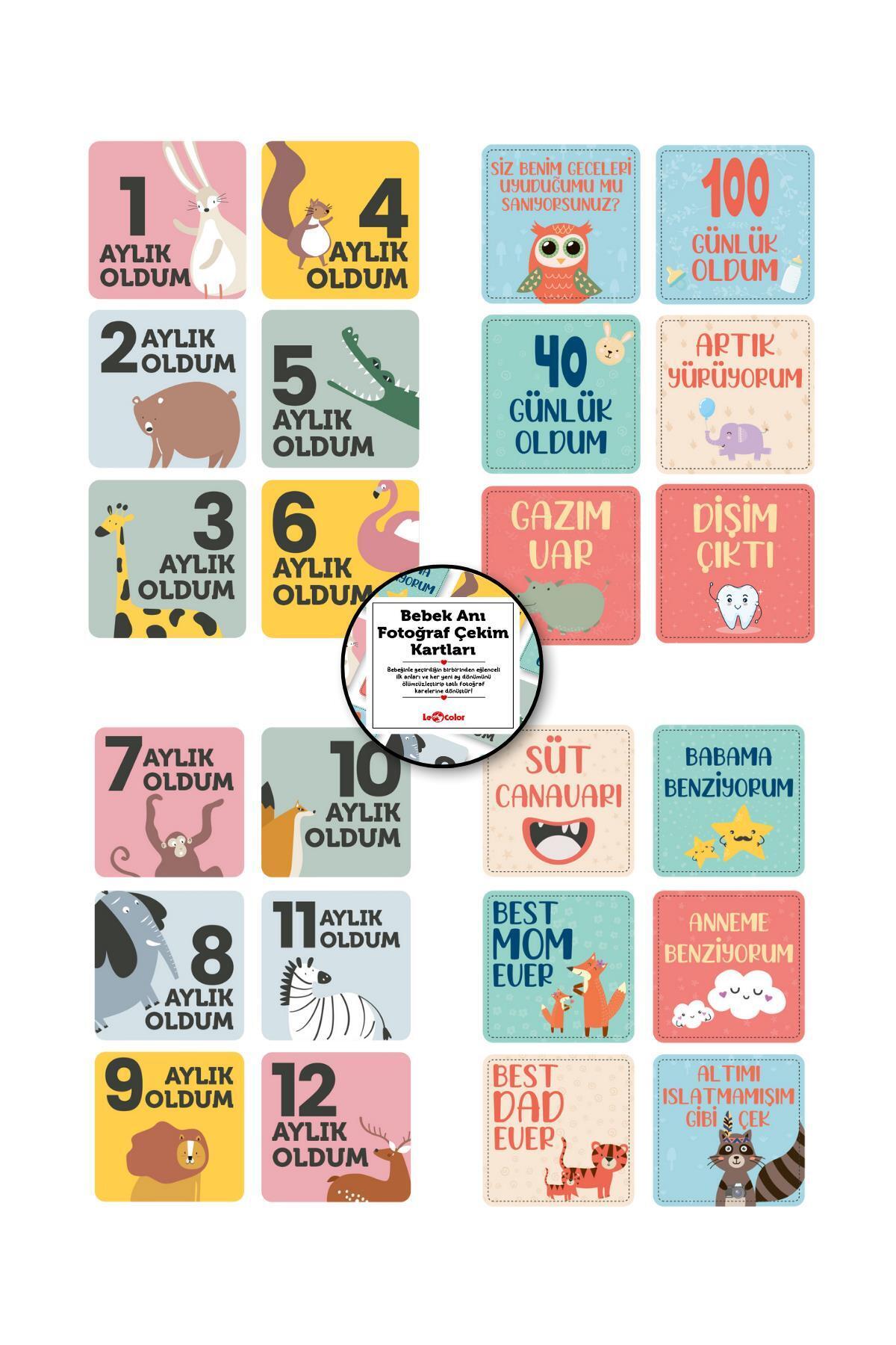 Le Color Bebek Anı Defteri Erkek Stickerlı + Çekim Ve Zeka Kartları Seti fotoğrafı 7 (önizleme)