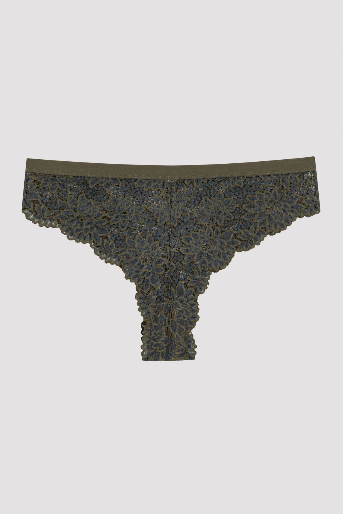 Penti-Khaki High Waist Lace Perfect Colors Hipster Panties 3