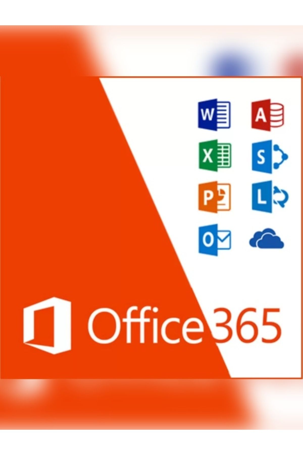 MICROSOFT office 365 dijital hesap üyelik