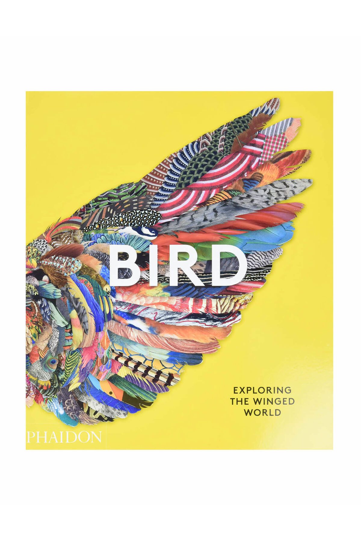 Phaidon Bird Exploring The Winged World 9781838661403