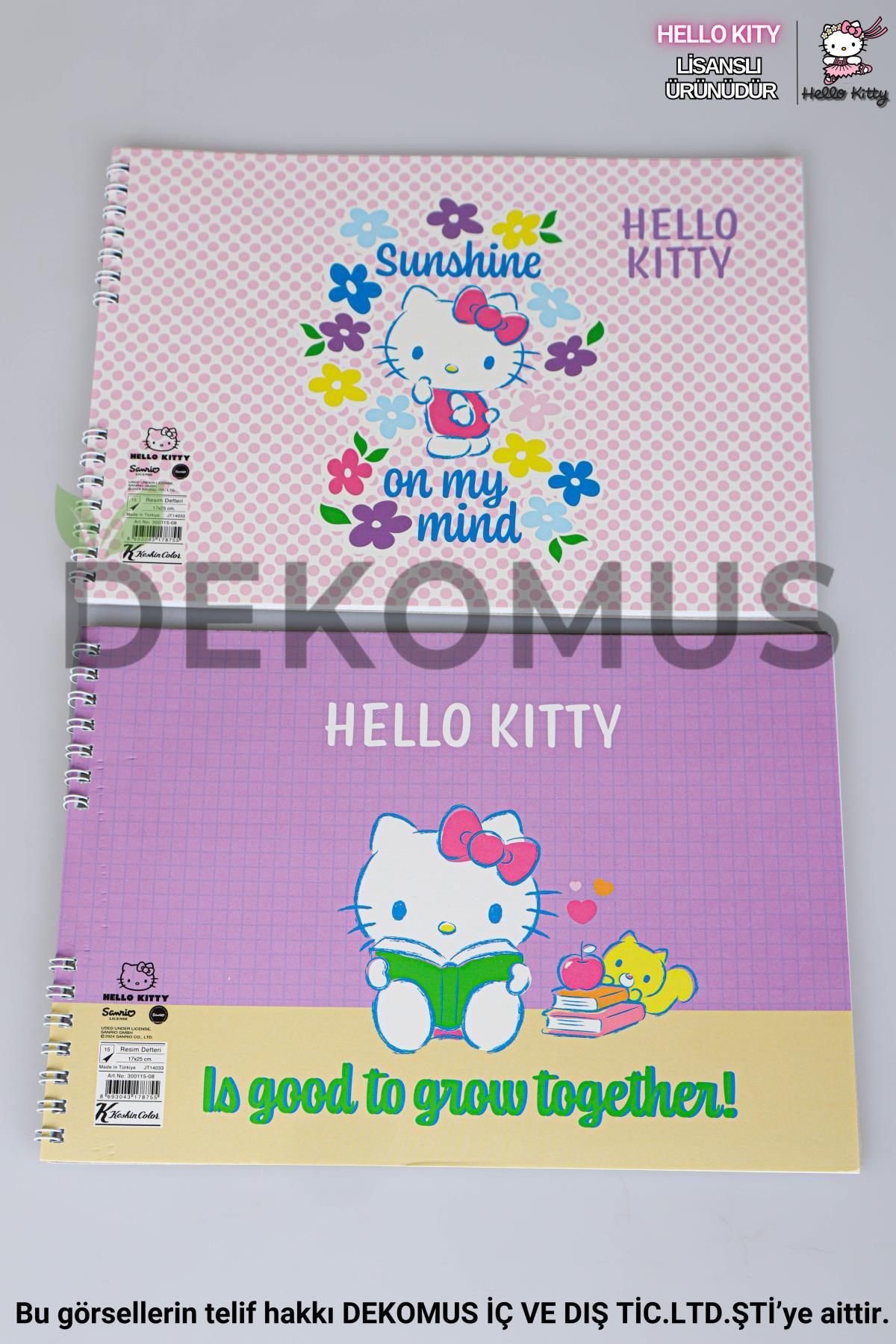 Hello Kitty-Licensed Hello Kitty "Single" Picture Notebook with Decomus 17*24 cm 15 Sheets 1