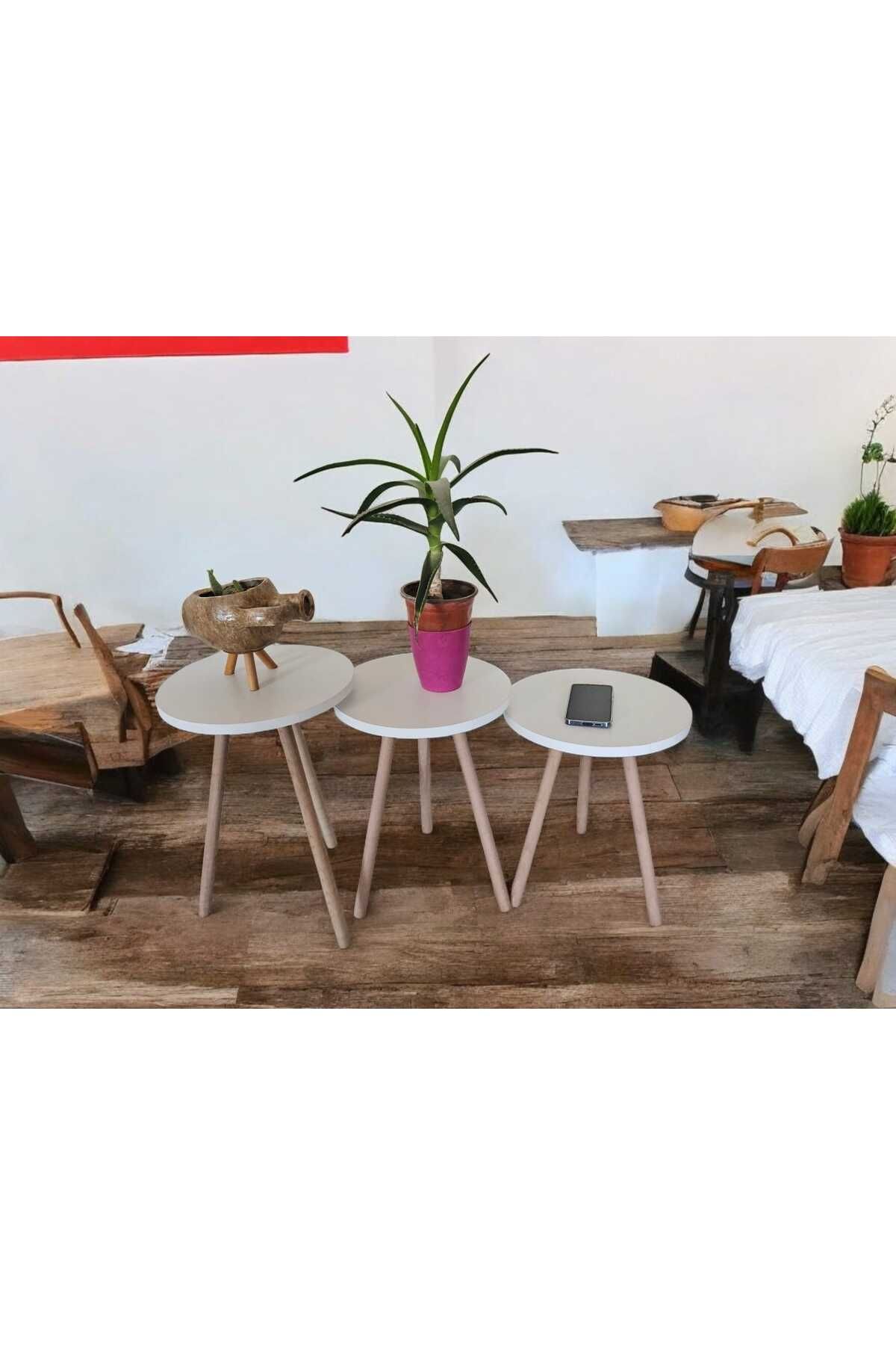 HESA-White Patterned 3-Piece Flower Pot Nesting Coffee Table Set 3