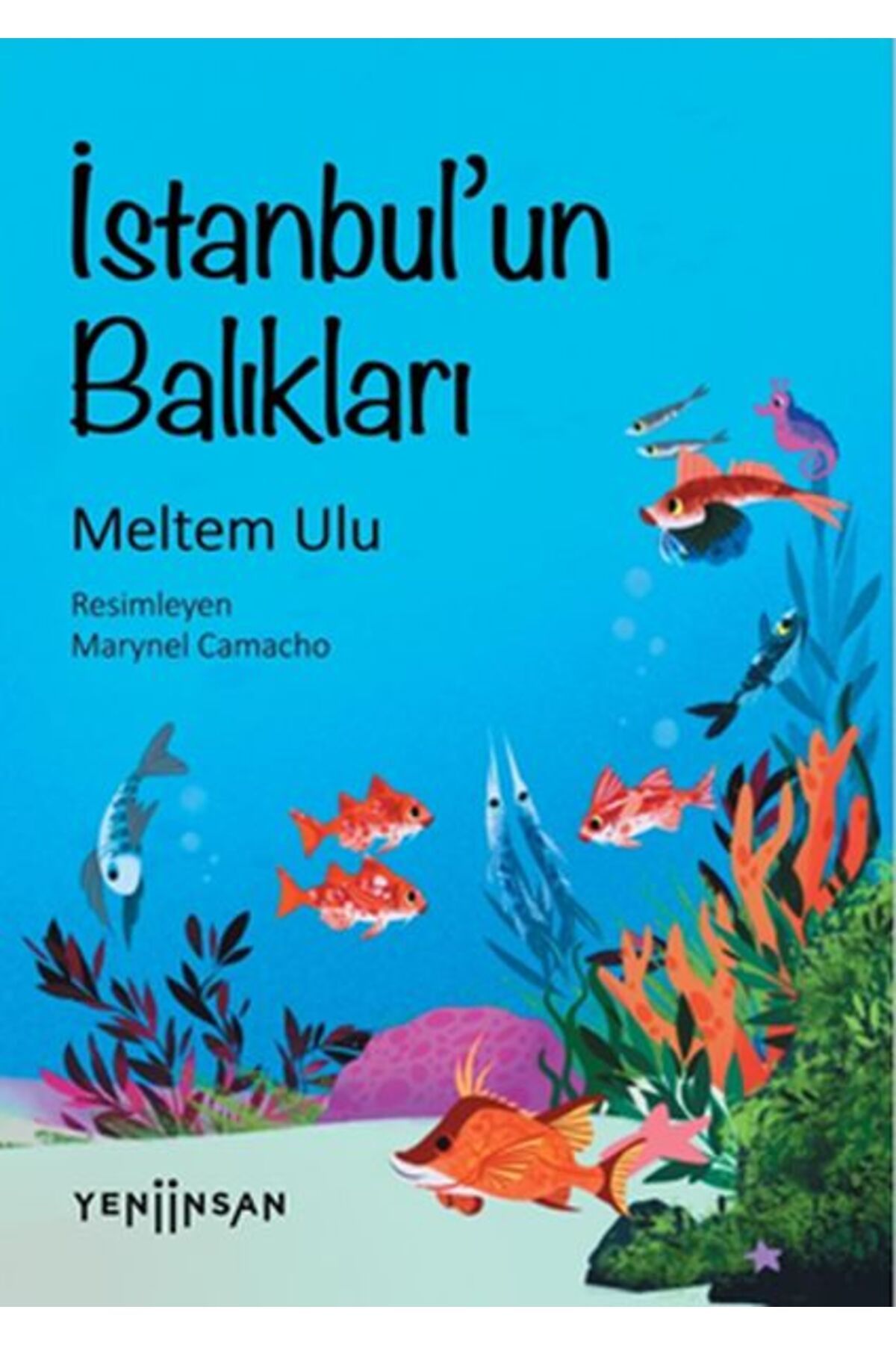 Yeni İnsan Yayınevi İstanbul’un Balıkları