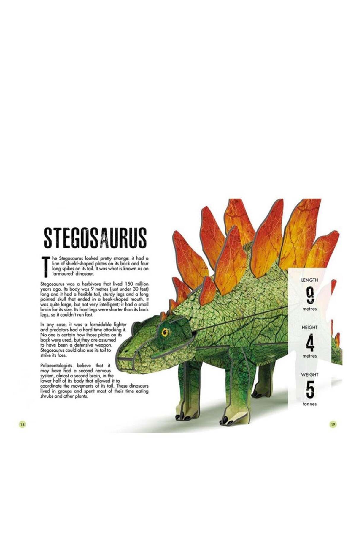 Sassi Junior-Sassi 3D Stegosaurus - Book and 3D Model 3