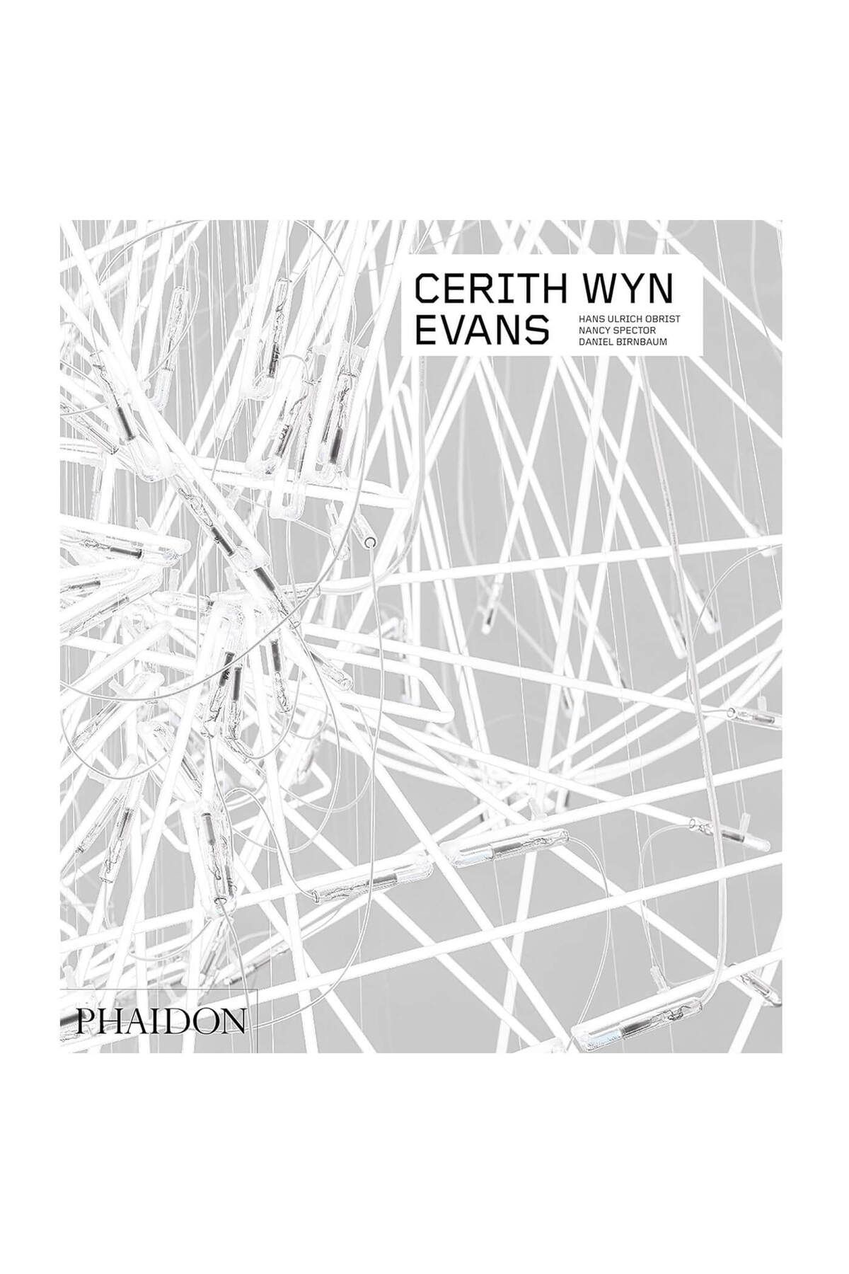 Phaidon Cerith Wyn Evans ( Contemporary Artists Series) 9781838661939