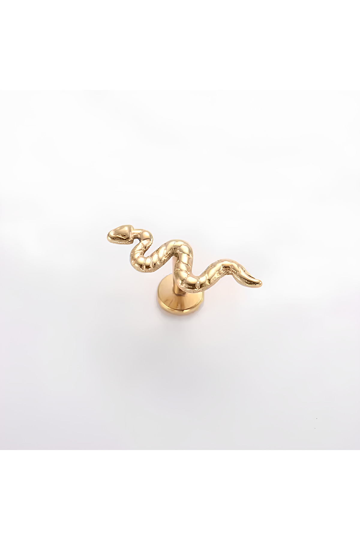 Janset-F136 Titanium Snake Model Piercing - Helix Snake Piercing 1