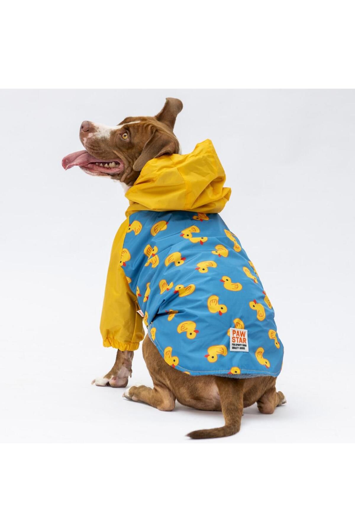 Pawstar-Beijing Large Breed Dog Coat Dog Raincoat Dog Outfit Dog Dress 1