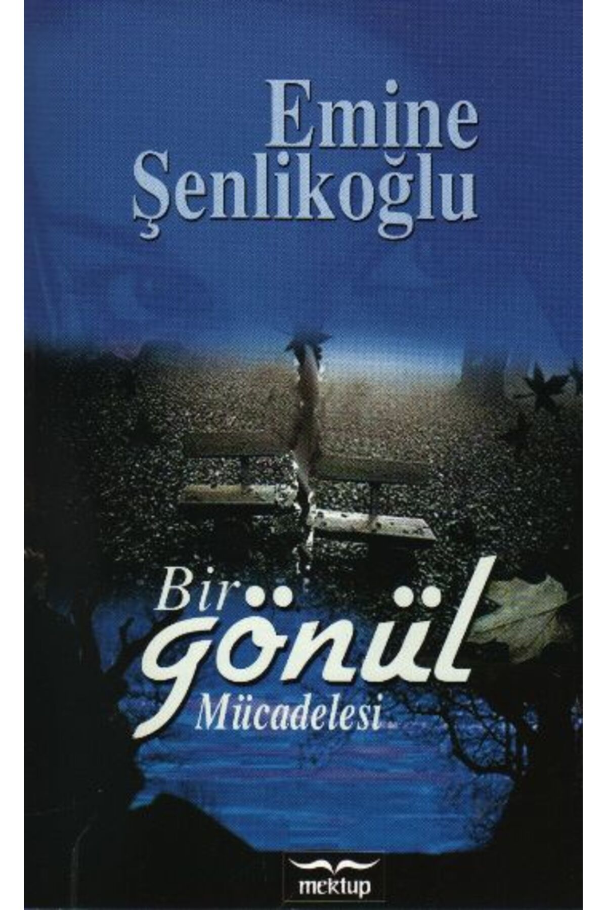 Mektup Yayınları Bir Gönül Mücadelesi