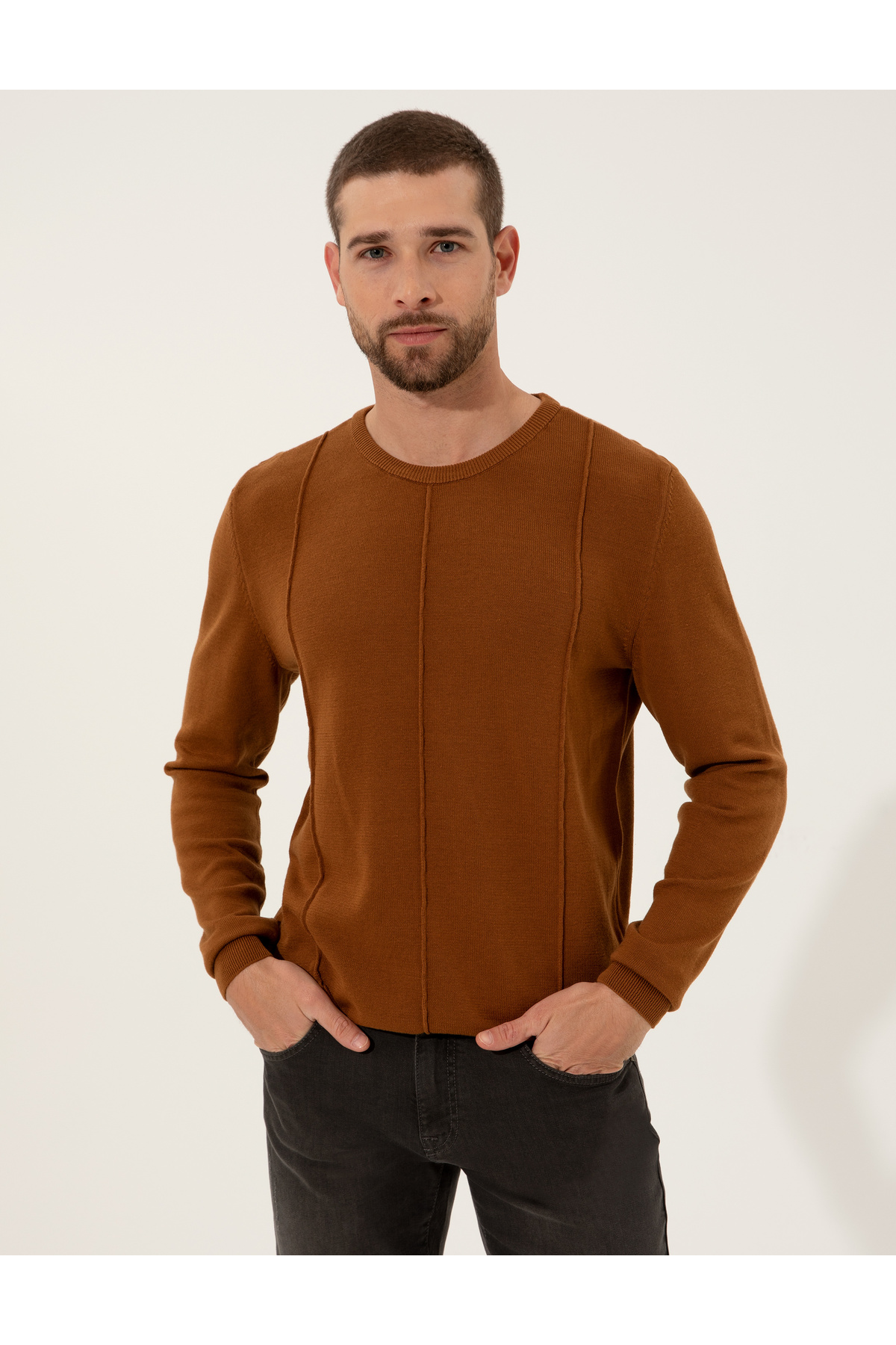 پلیور مردانه راسته آستین بلند | پیر کاردین Pierre Cardin 50262400048 - تصویر 3
