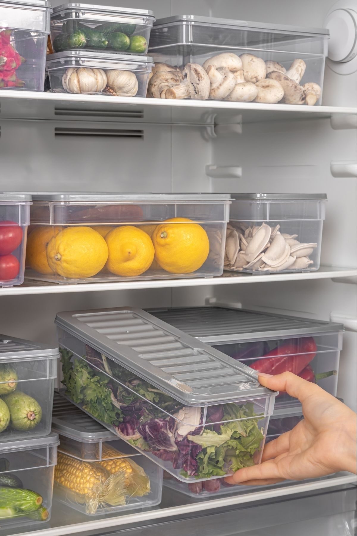 Nandy Home-18 Piece Set Freshbox Storage Container Suitable for Microwave and Diffraction 4