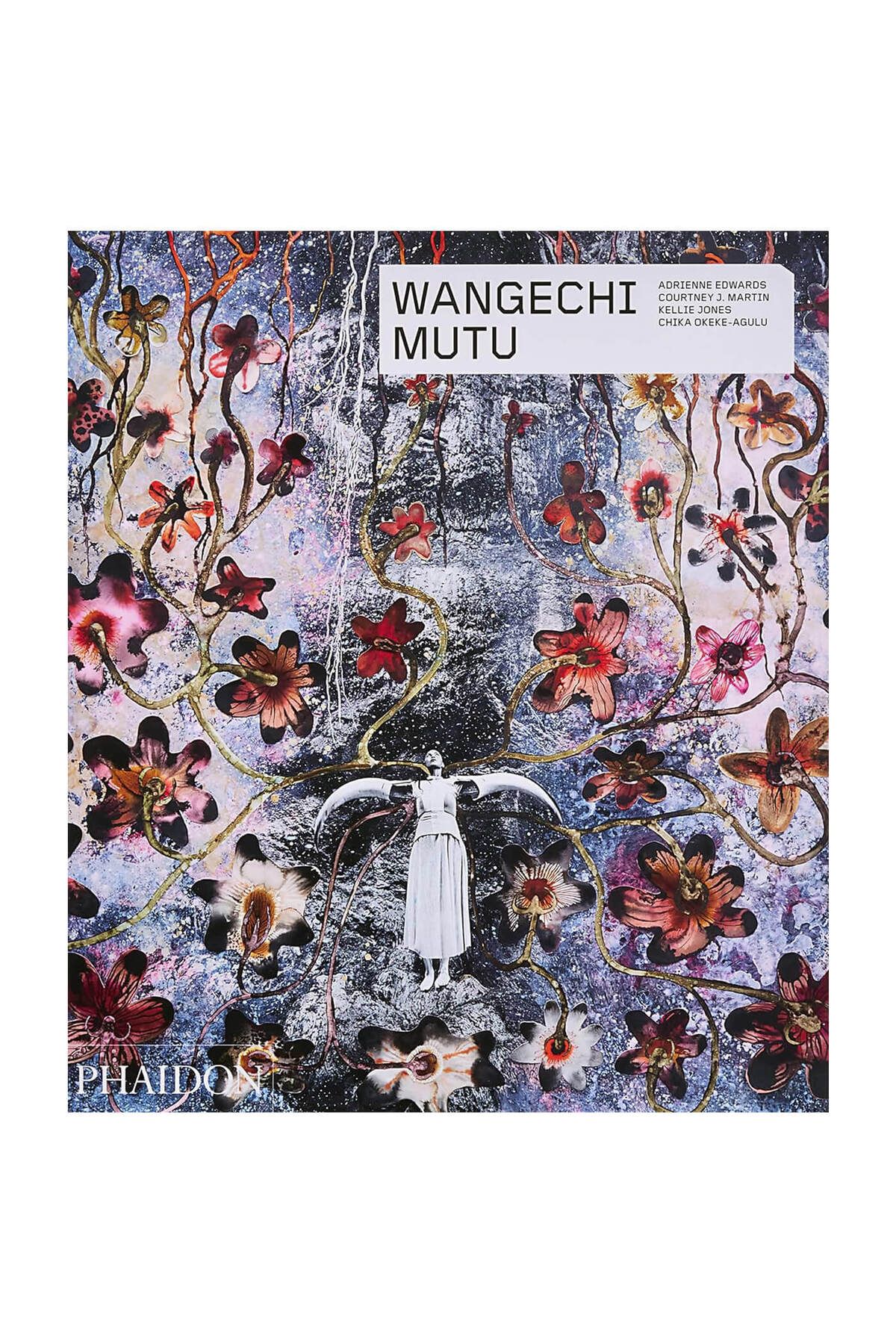 Phaidon Wangechi Mutu 9781838661649