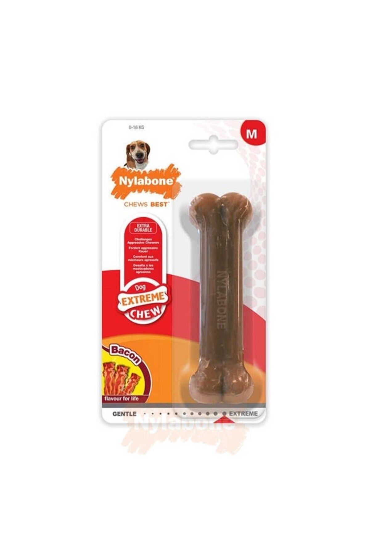 Nylabone-Ec Pig Bacon Flavored Dog Chewing Bone M 1