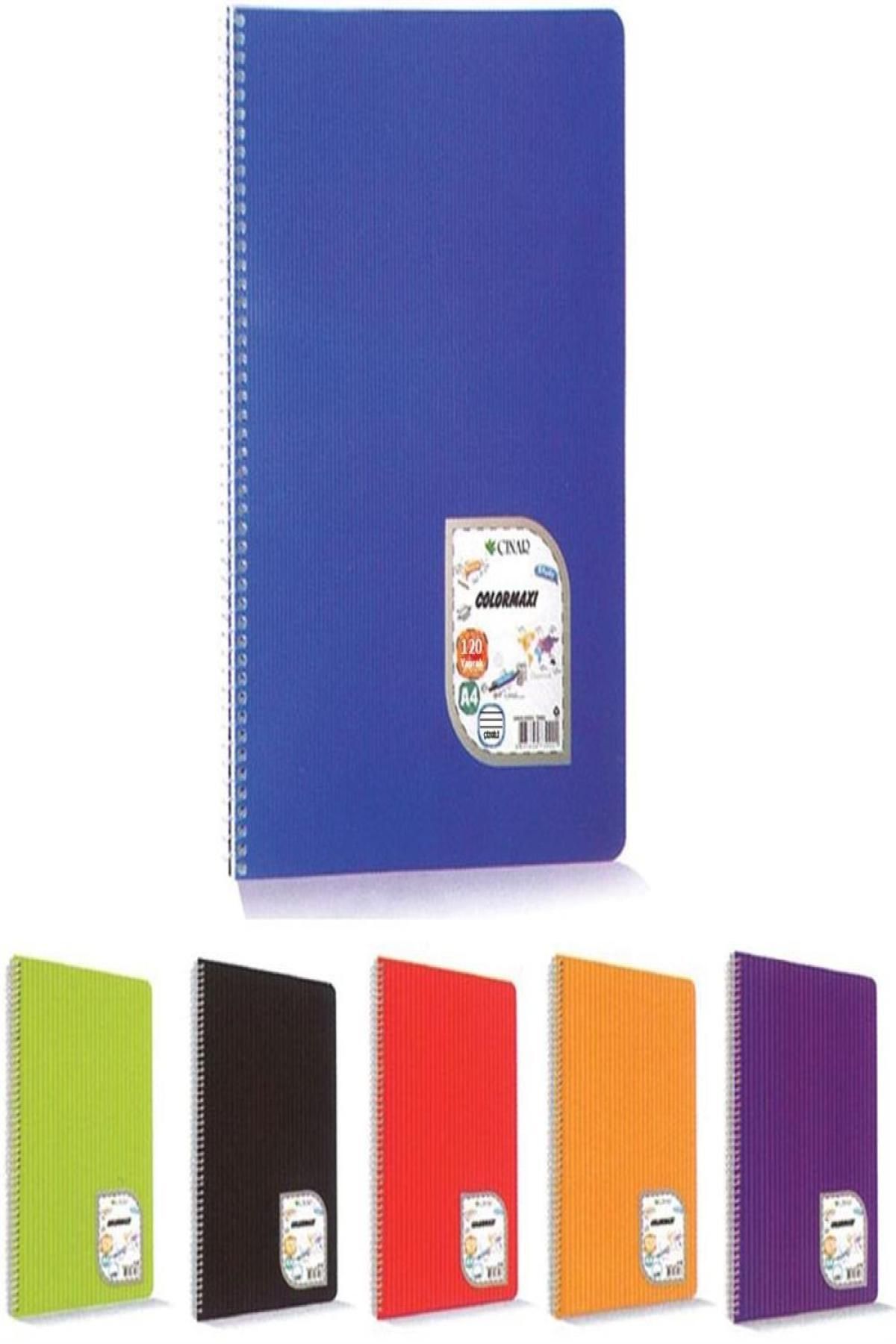 MMB Boutique Çınar A4 Kareli Telli Defter Colormaxi Spiralli Pp Kapak 120 Yaprak