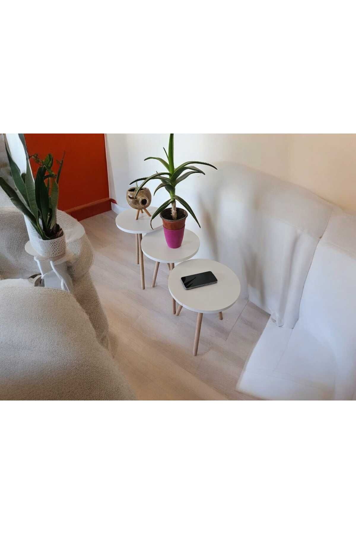 HESA-White Patterned 3-Piece Flower Pot Nesting Coffee Table Set 5