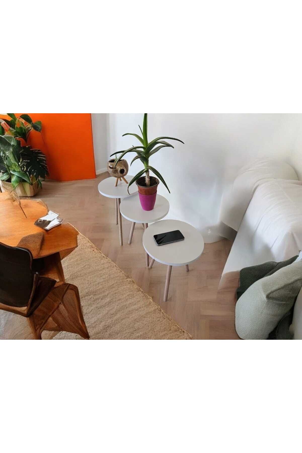HESA-White Patterned 3-Piece Flower Pot Nesting Coffee Table Set 4