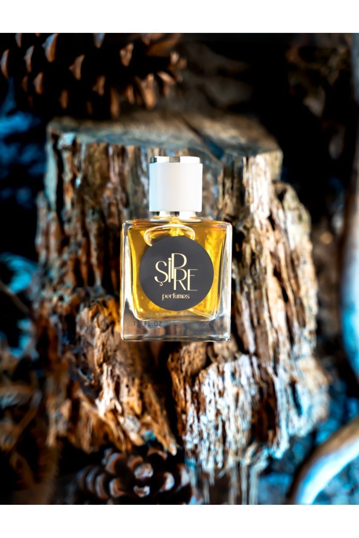 Şipre Parfüm-Chipre Perfumes: Chipre Perfumes Perfume Classic 50ml 3