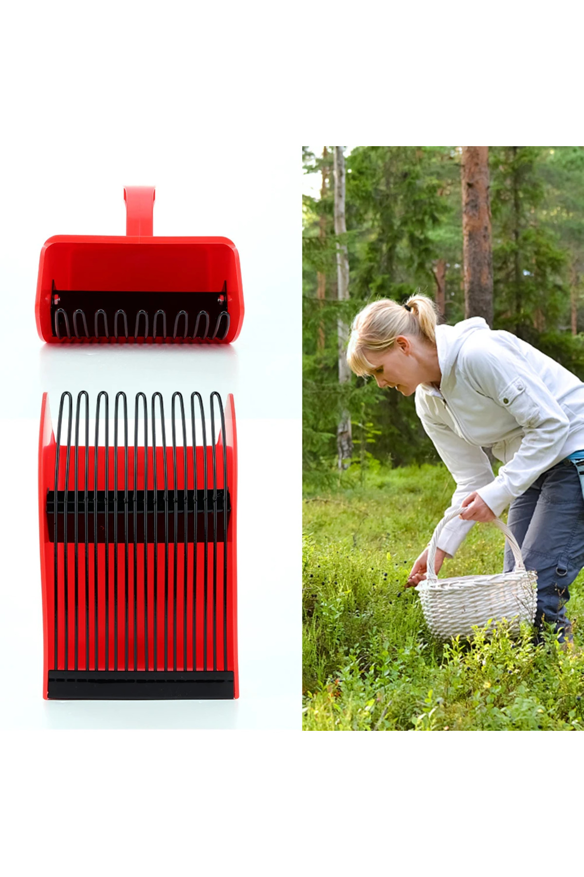 Choice-Portable Berry Picker Ergonomic Berry Pick Rake Plastic Handle Picking Tool Blueberry Collection ... 3