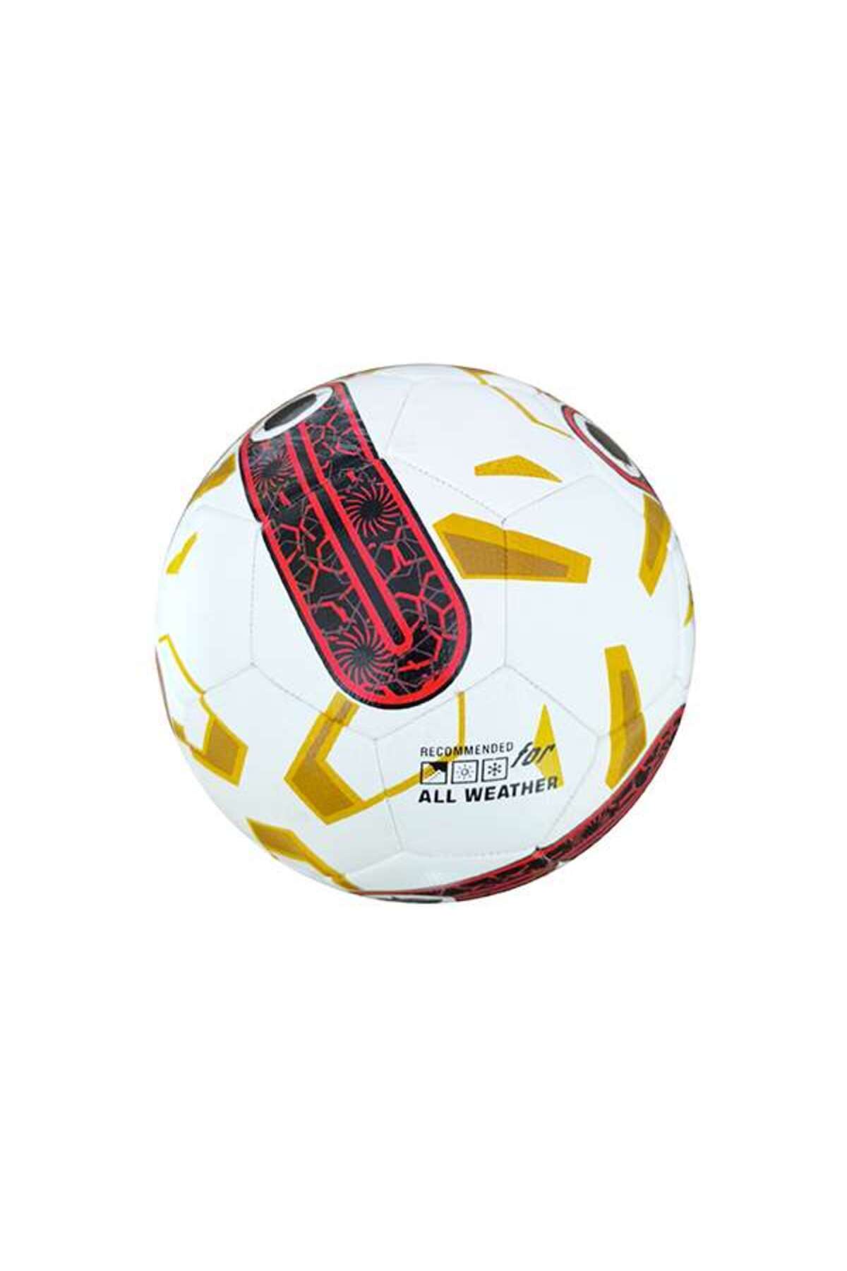 CIWAA-Platinum Hybrid No 5 Football Ball 3