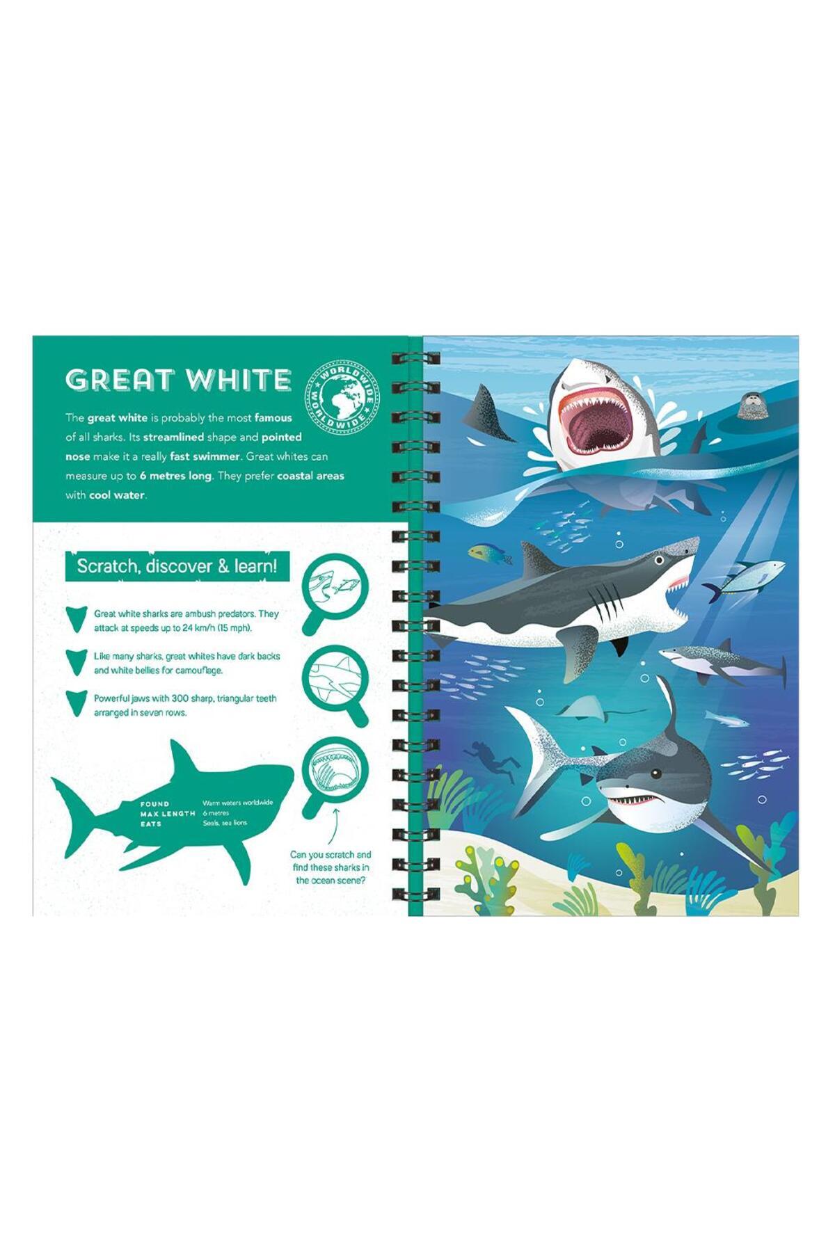 Imagine That-Sharks - Scratch Discover and Learn 3