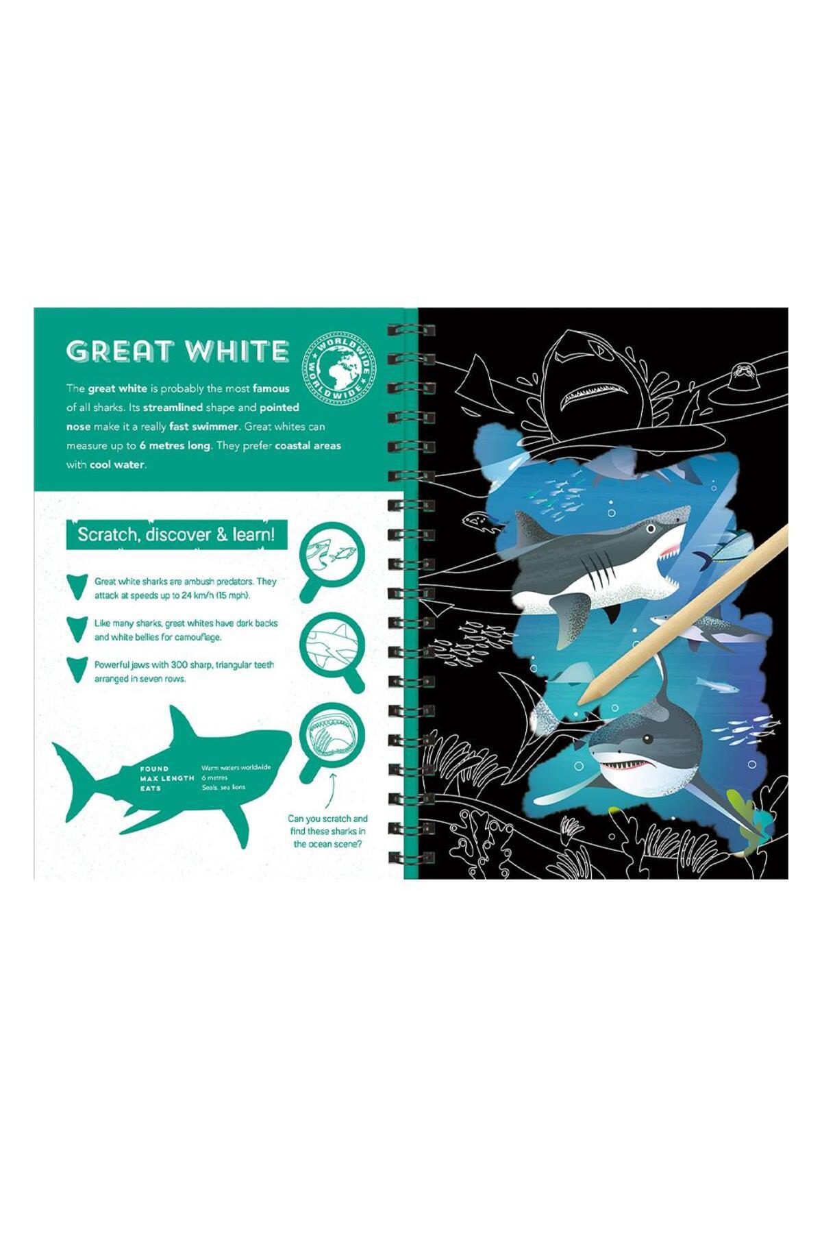 Imagine That-Sharks - Scratch Discover and Learn 4