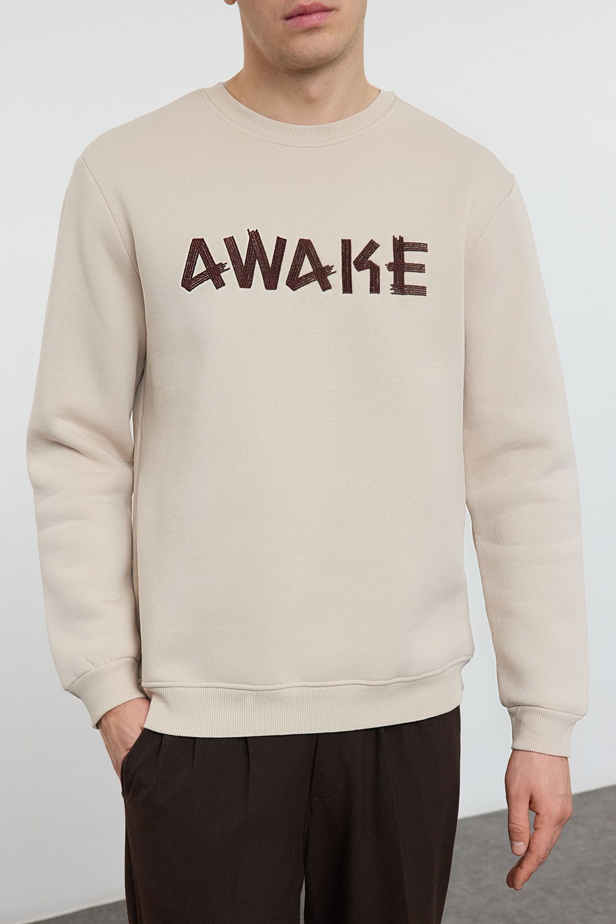 Edit by Trendyol-Stone Oversize/Wide Cut Fleece Inside/Warm Sweatshirt mit Textstickerei TMNAW25SW00061 3