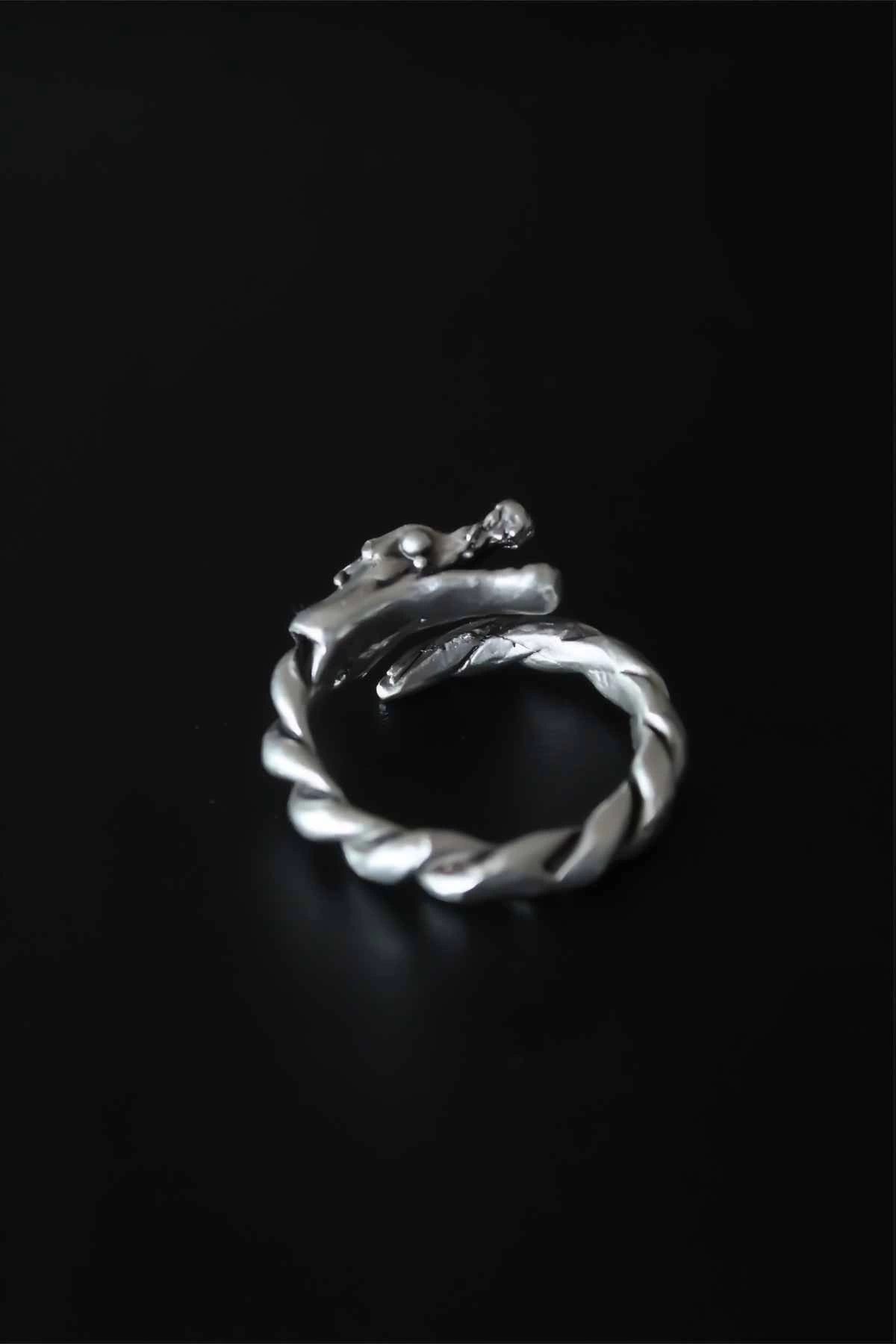 Clariss-Dragon Figure Antique Silver Color Adjustable Men's Ring 2